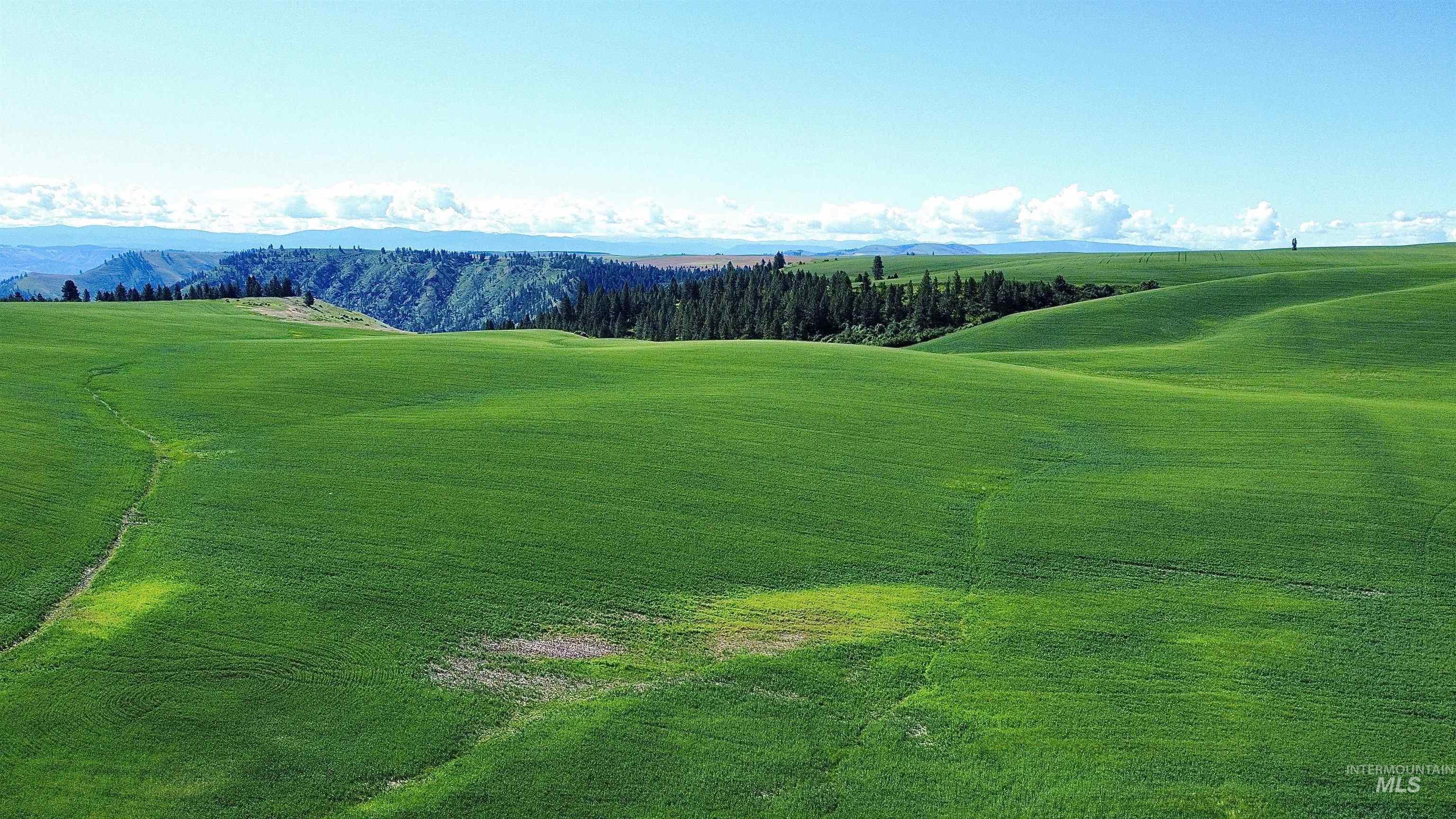 TBD Basket Rd, Nezperce, Idaho 83543, Land For Sale, Price $1,318,000,MLS 98976405