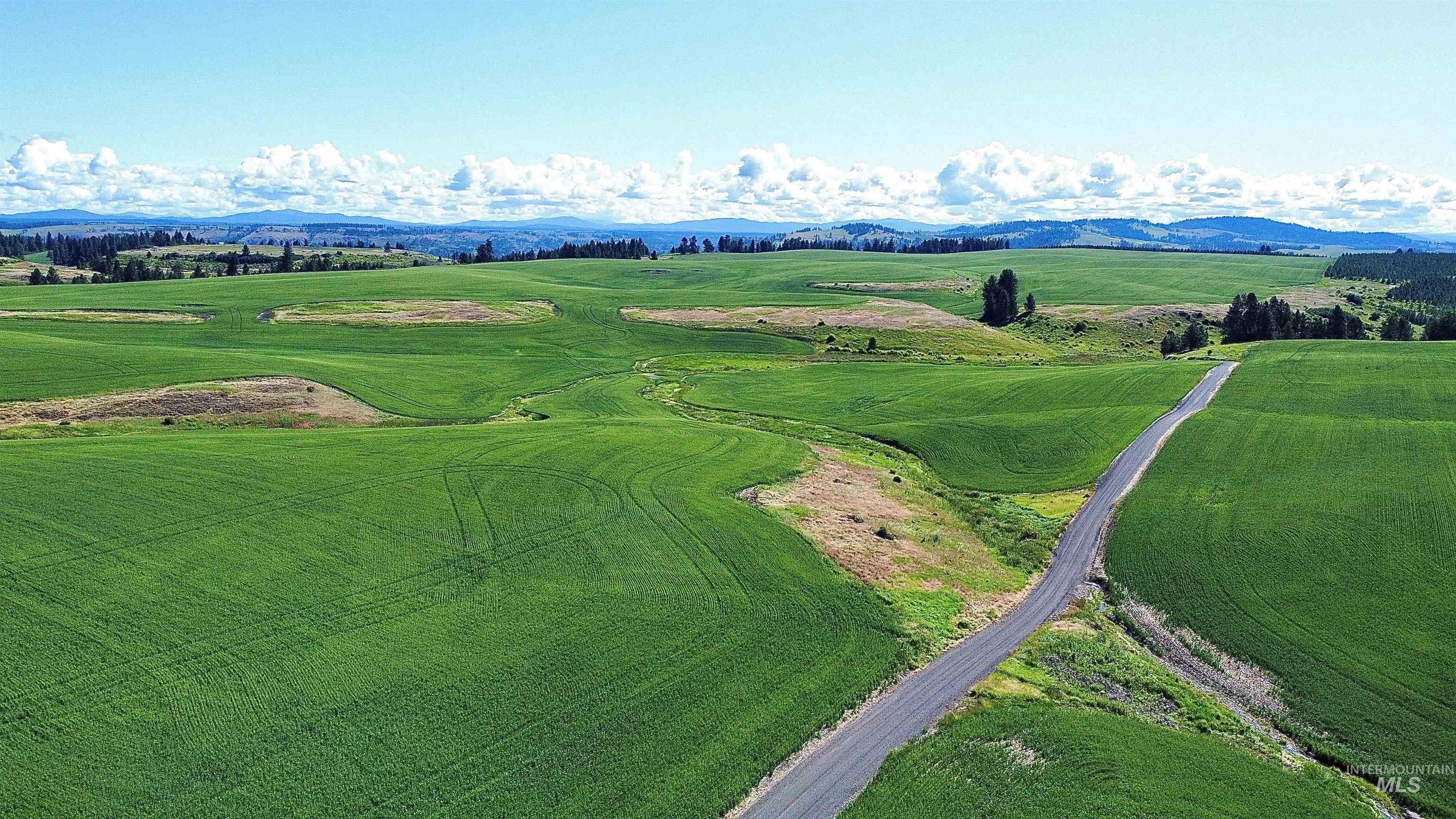 TBD Basket Rd, Nezperce, Idaho 83543, Land For Sale, Price $1,318,000,MLS 98976405