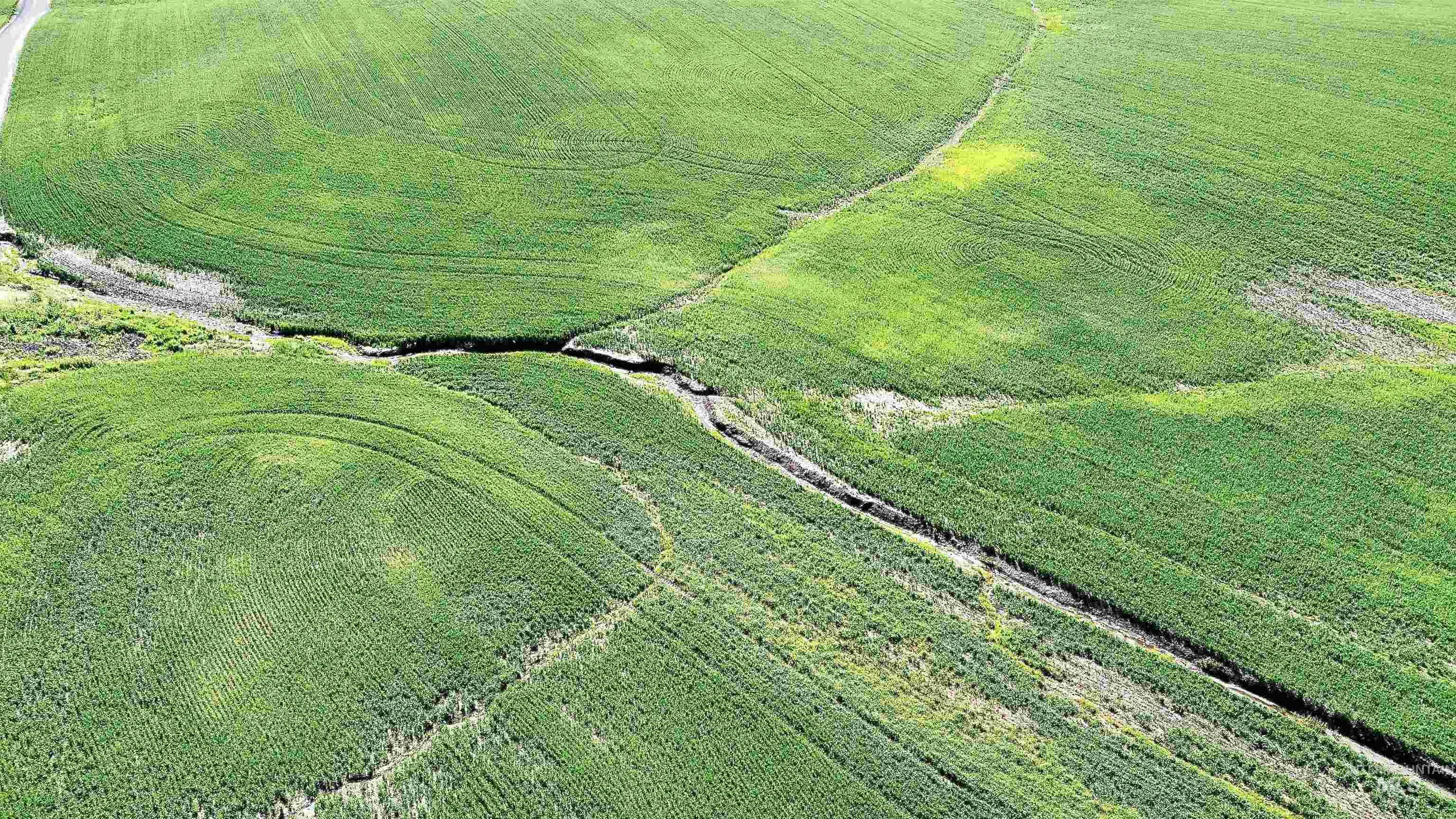 TBD Basket Rd, Nezperce, Idaho 83543, Land For Sale, Price $1,318,000,MLS 98976405