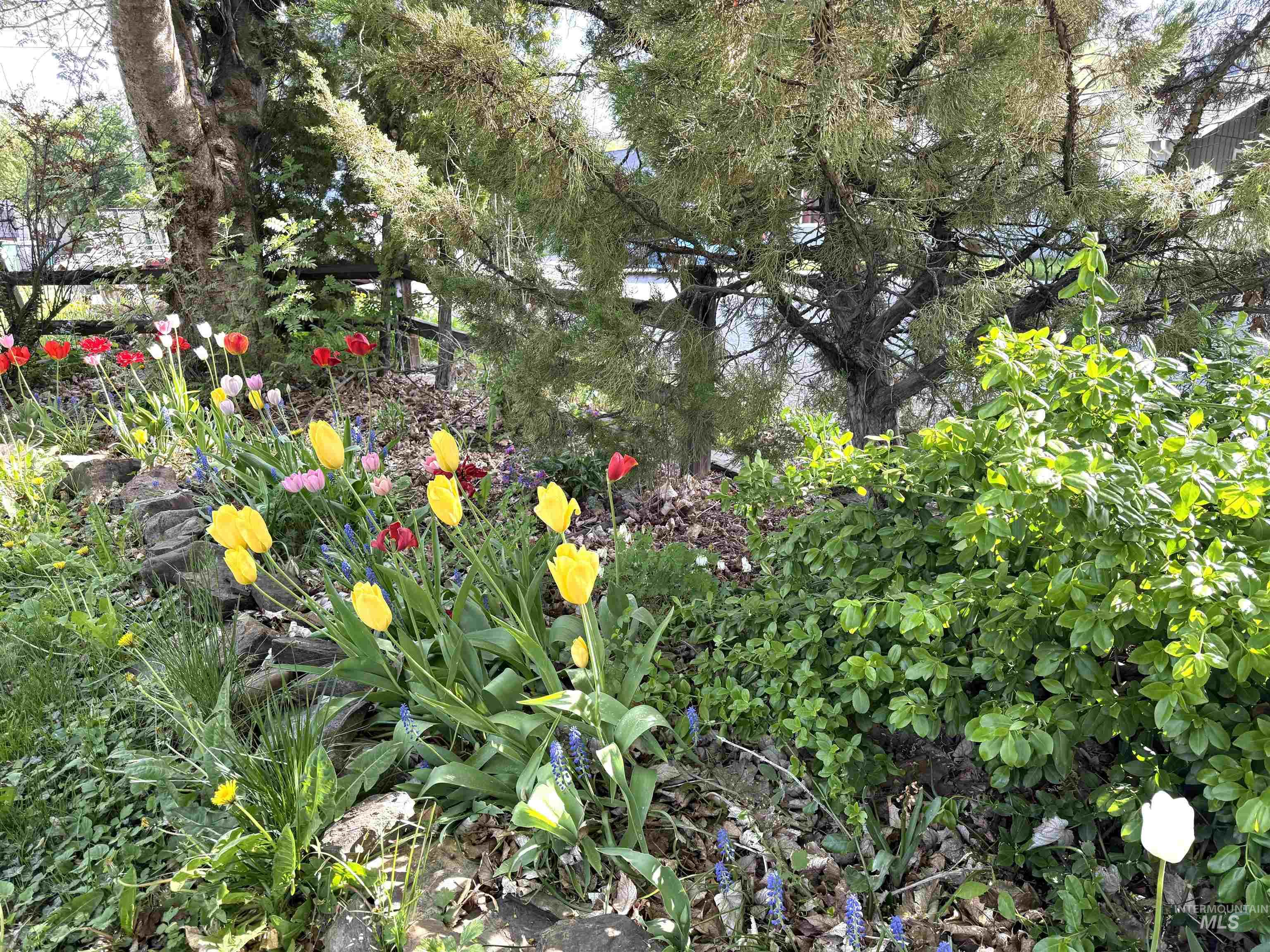 616 E 8th, Moscow, Idaho 83843, 4 Bedrooms, 2 Bathrooms, Residential For Sale, Price $455,000, 98976406