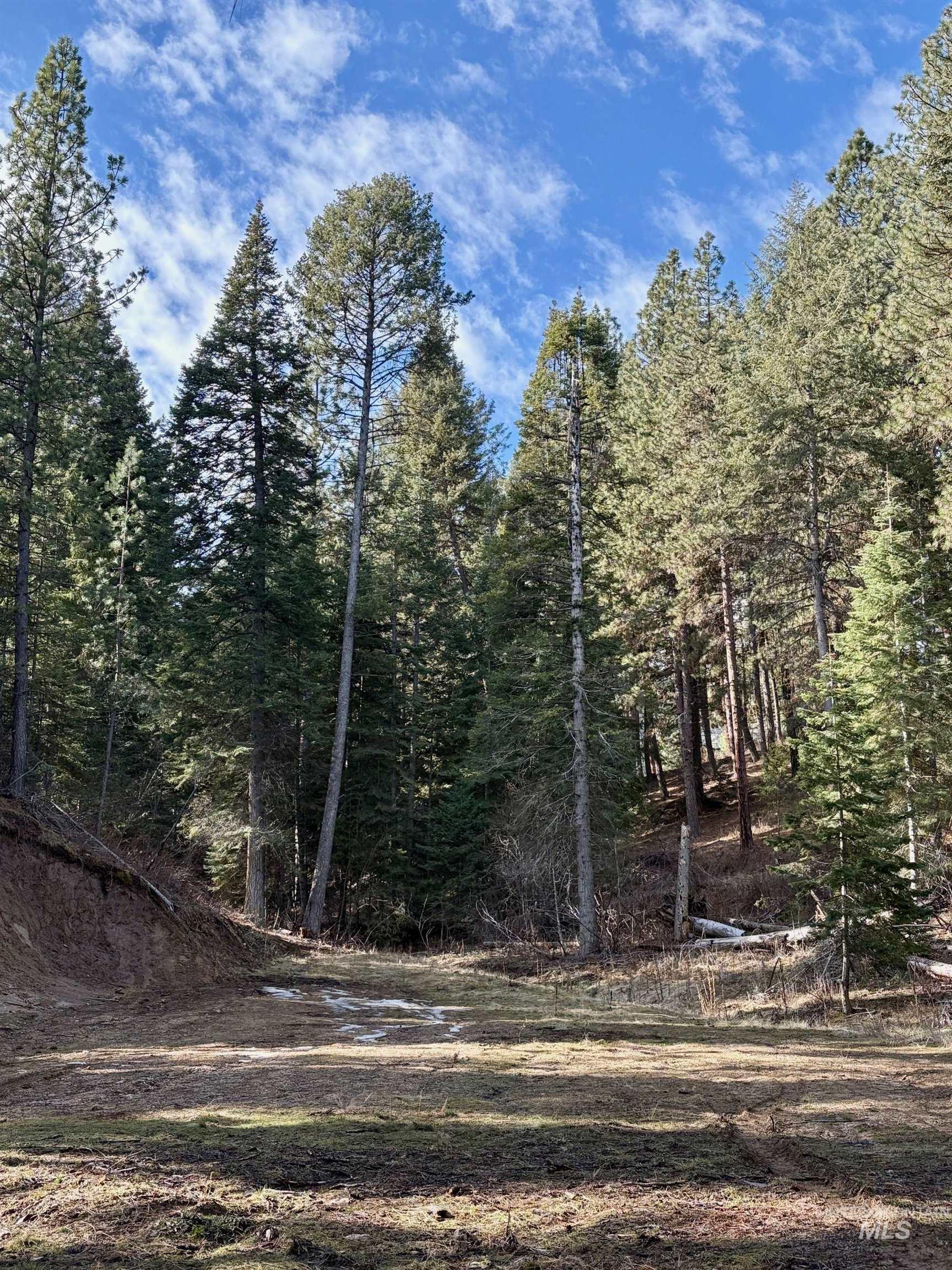 10 Shadow Rd, Garden Valley, Idaho 83622, Land For Sale, Price $199,000, 98976411