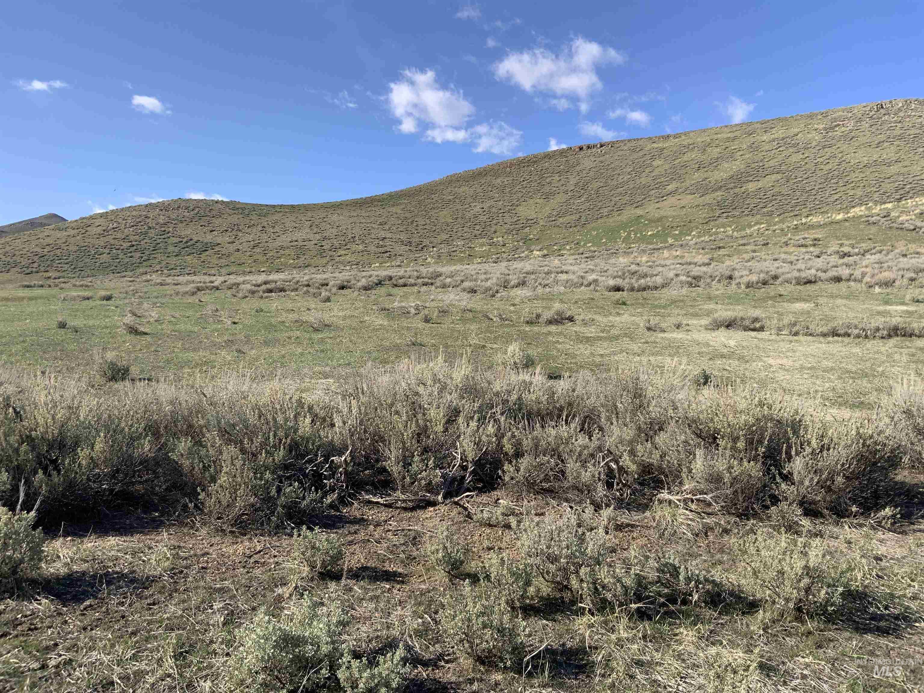 Lot 1 Tobia Sub, Fairfield, Idaho 83327, Land For Sale, Price $169,900, 98976415