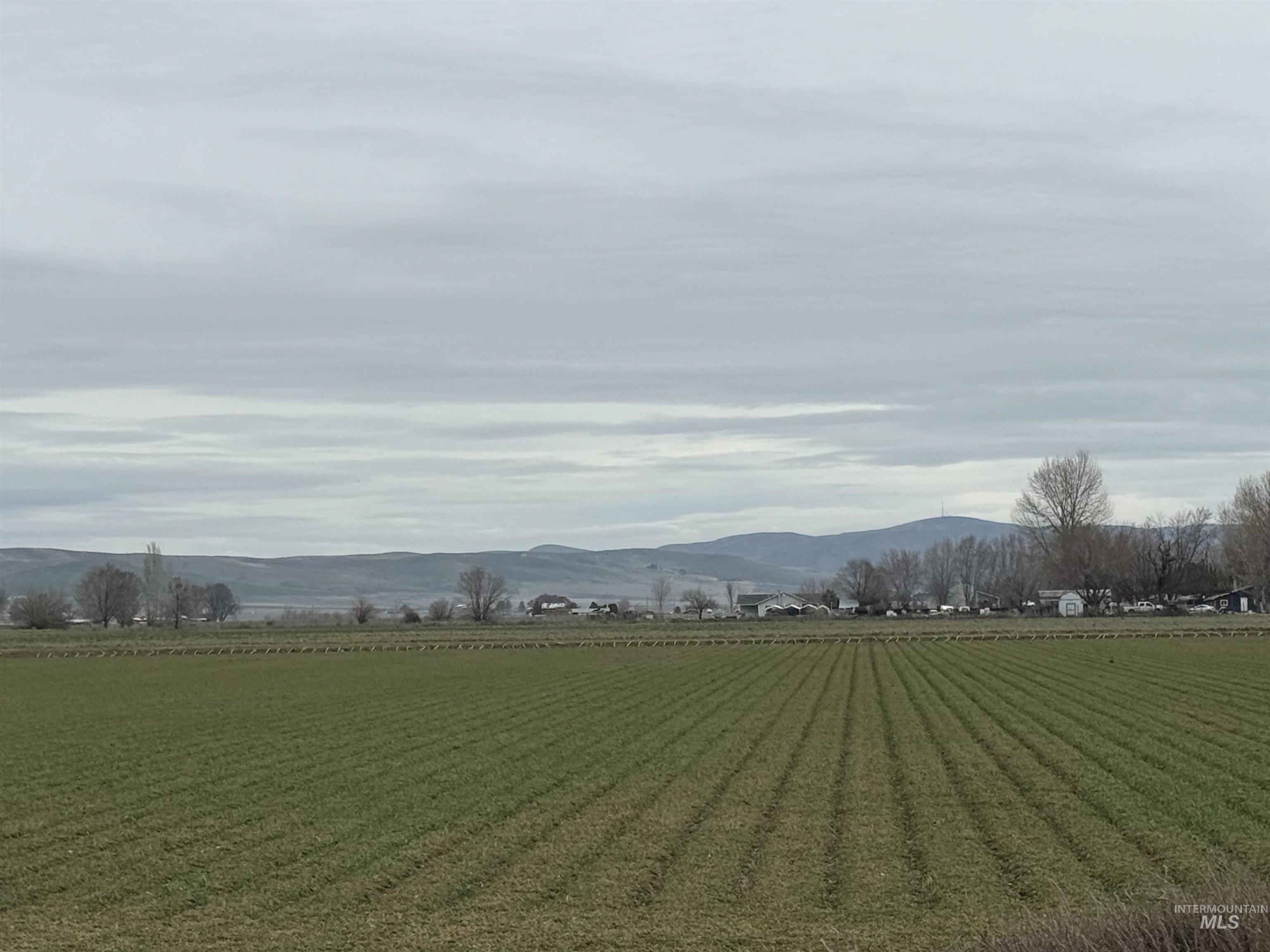 Farm & Ranch For Sale