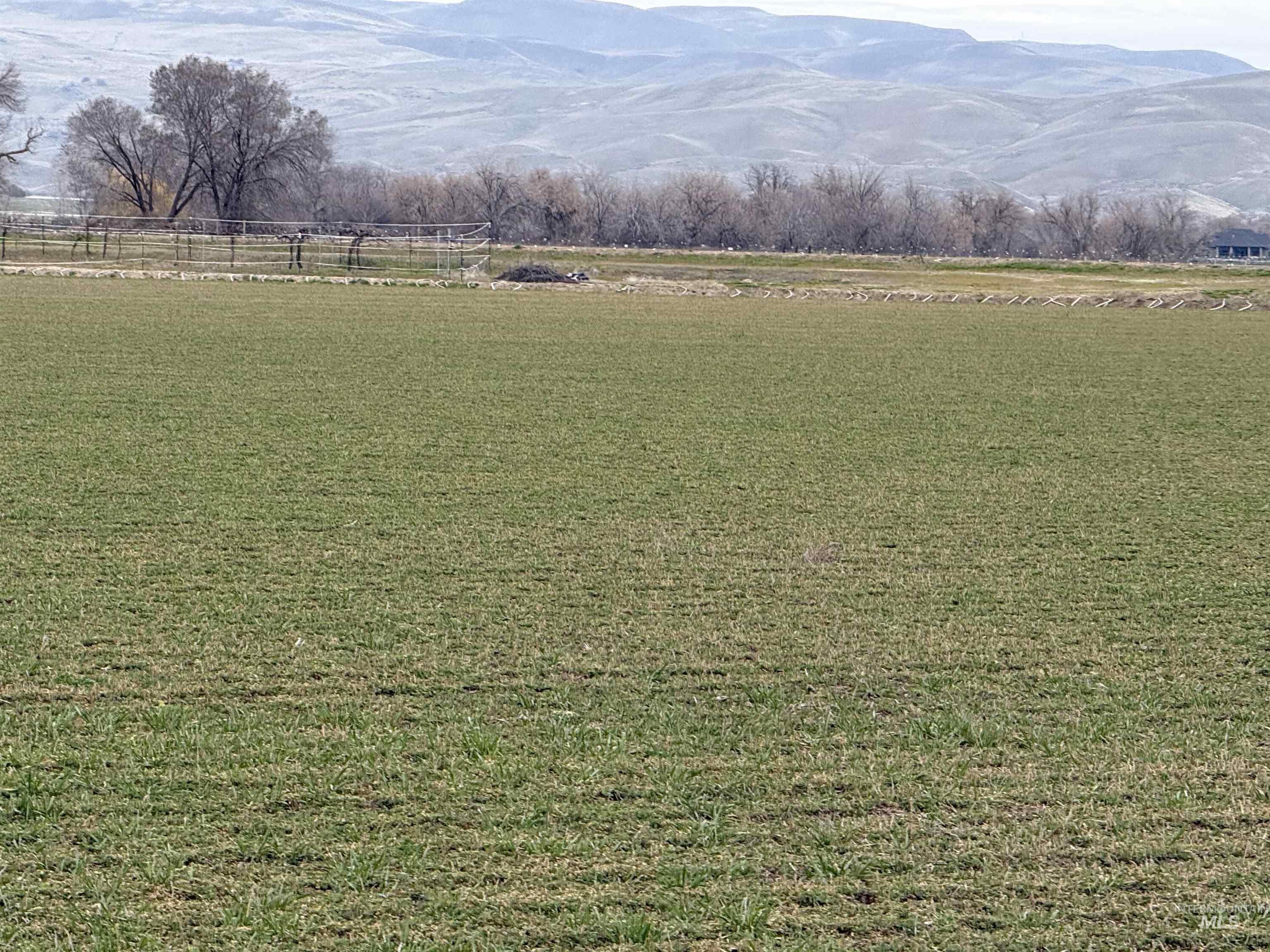 TBD Jonathan Rd, Weiser, Idaho 83672, Farm & Ranch For Sale, Price $899,000, 98976426