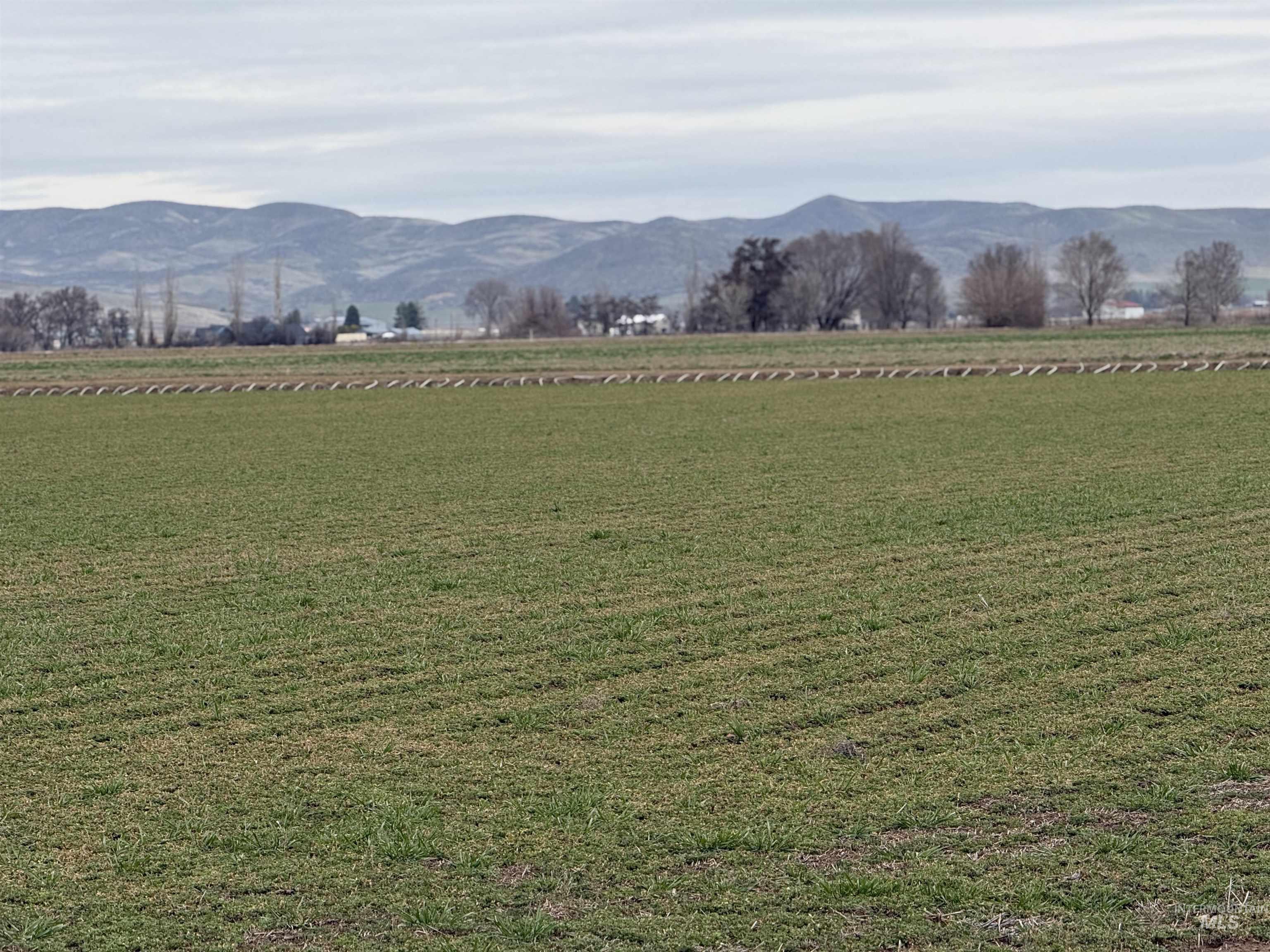 TBD Jonathan Rd, Weiser, Idaho 83672, Farm & Ranch For Sale, Price $899,000, 98976426