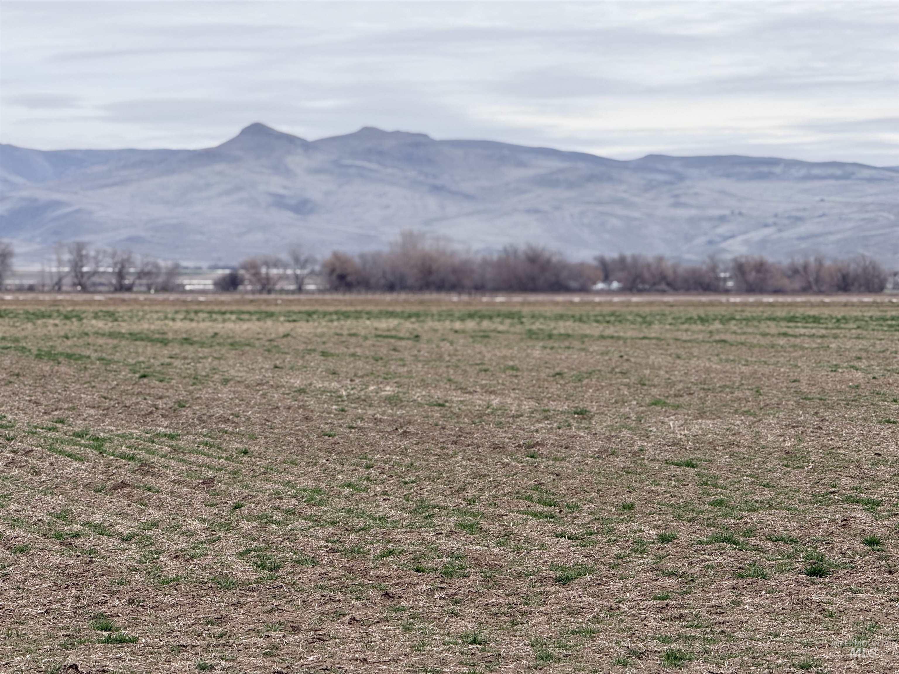 TBD Jonathan Rd, Weiser, Idaho 83672, Farm & Ranch For Sale, Price $899,000, 98976426