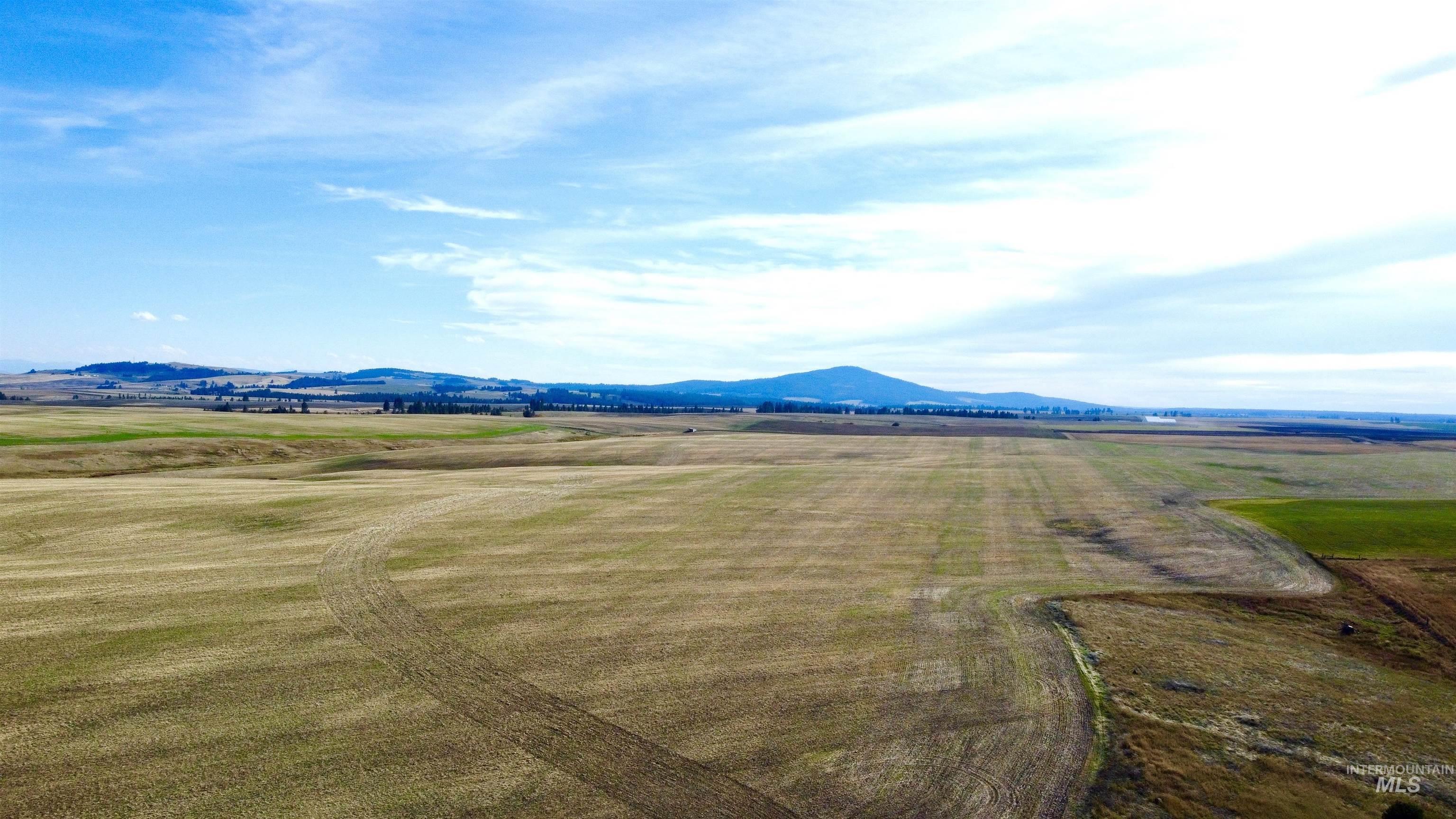 TBD Westlake Rd (80AC), Craigmont, Idaho 83523, Land For Sale, Price $296,000, 98976439