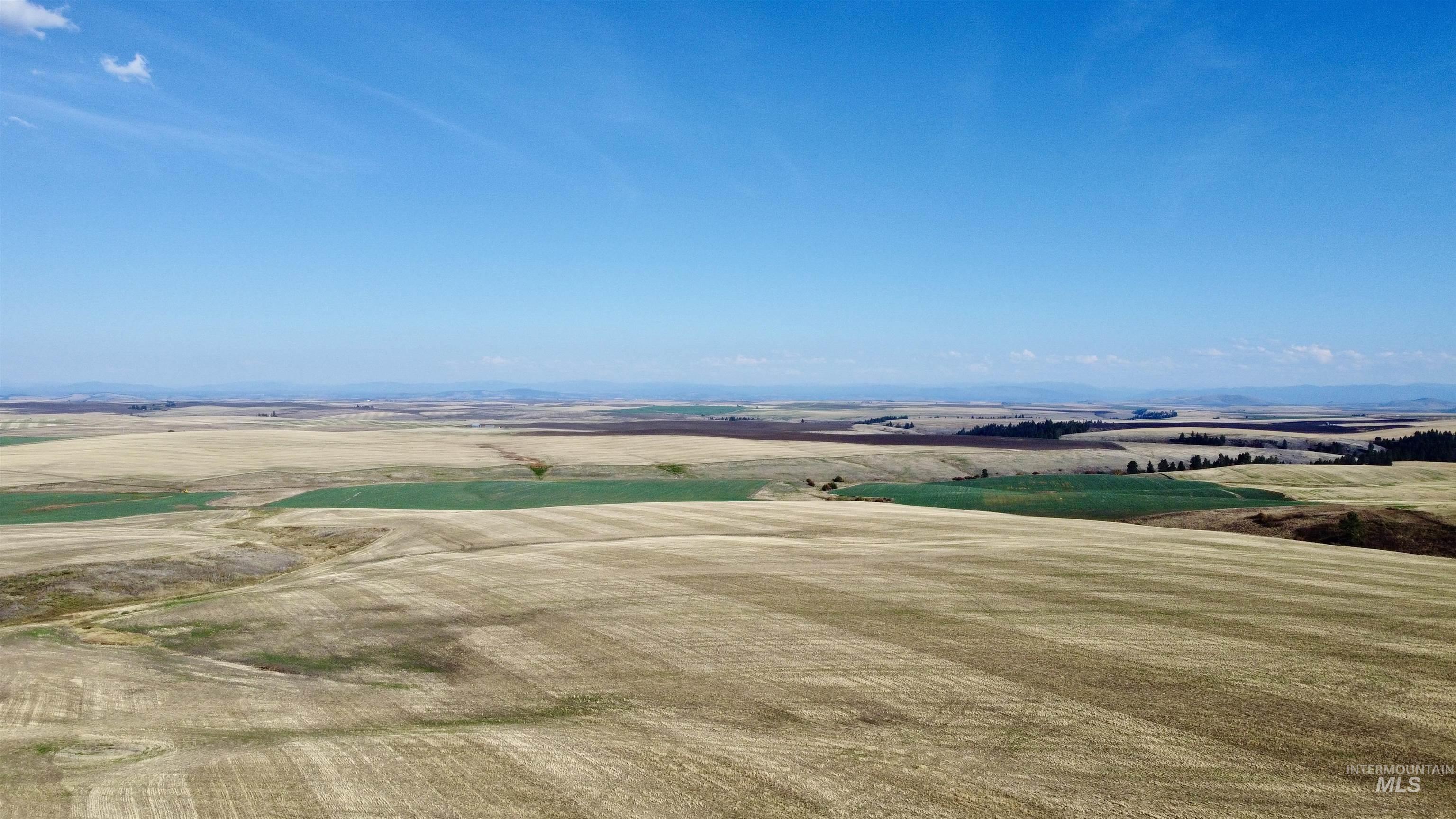 TBD Westlake Rd (80AC), Craigmont, Idaho 83523, Land For Sale, Price $296,000, 98976439