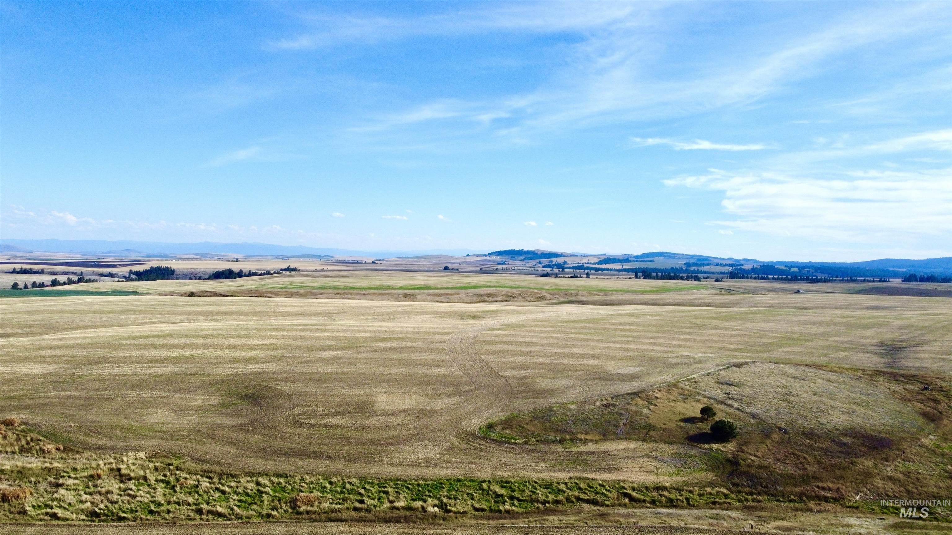 TBD Westlake Rd (80AC), Craigmont, Idaho 83523, Land For Sale, Price $296,000, 98976439