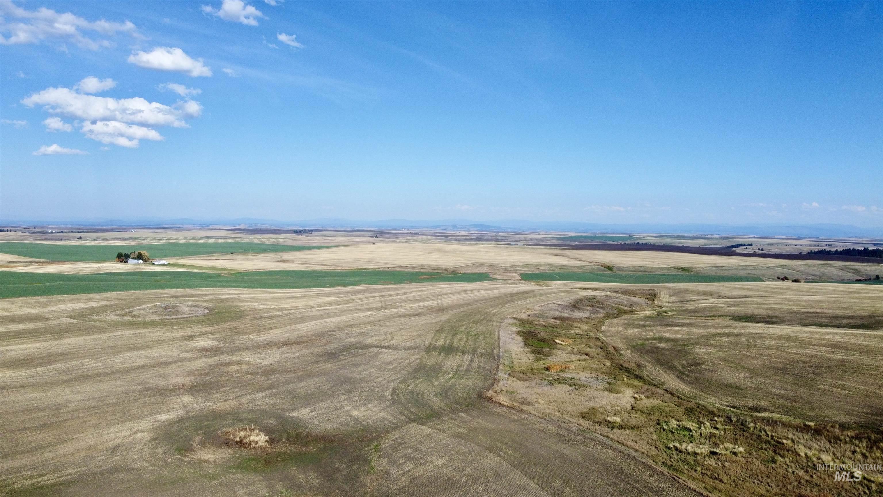 TBD Westlake Rd (80AC), Craigmont, Idaho 83523, Land For Sale, Price $296,000, 98976439