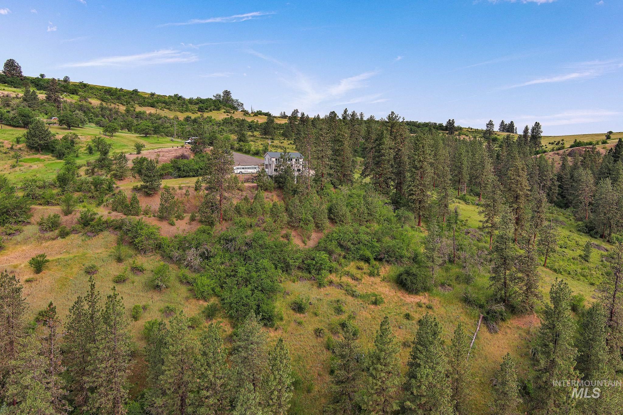 156 Butcher Creek Lane, Grangeville, Idaho 83530, 2 Bedrooms, 1 Bathroom, Residential For Sale, Price $499,000, 98976450