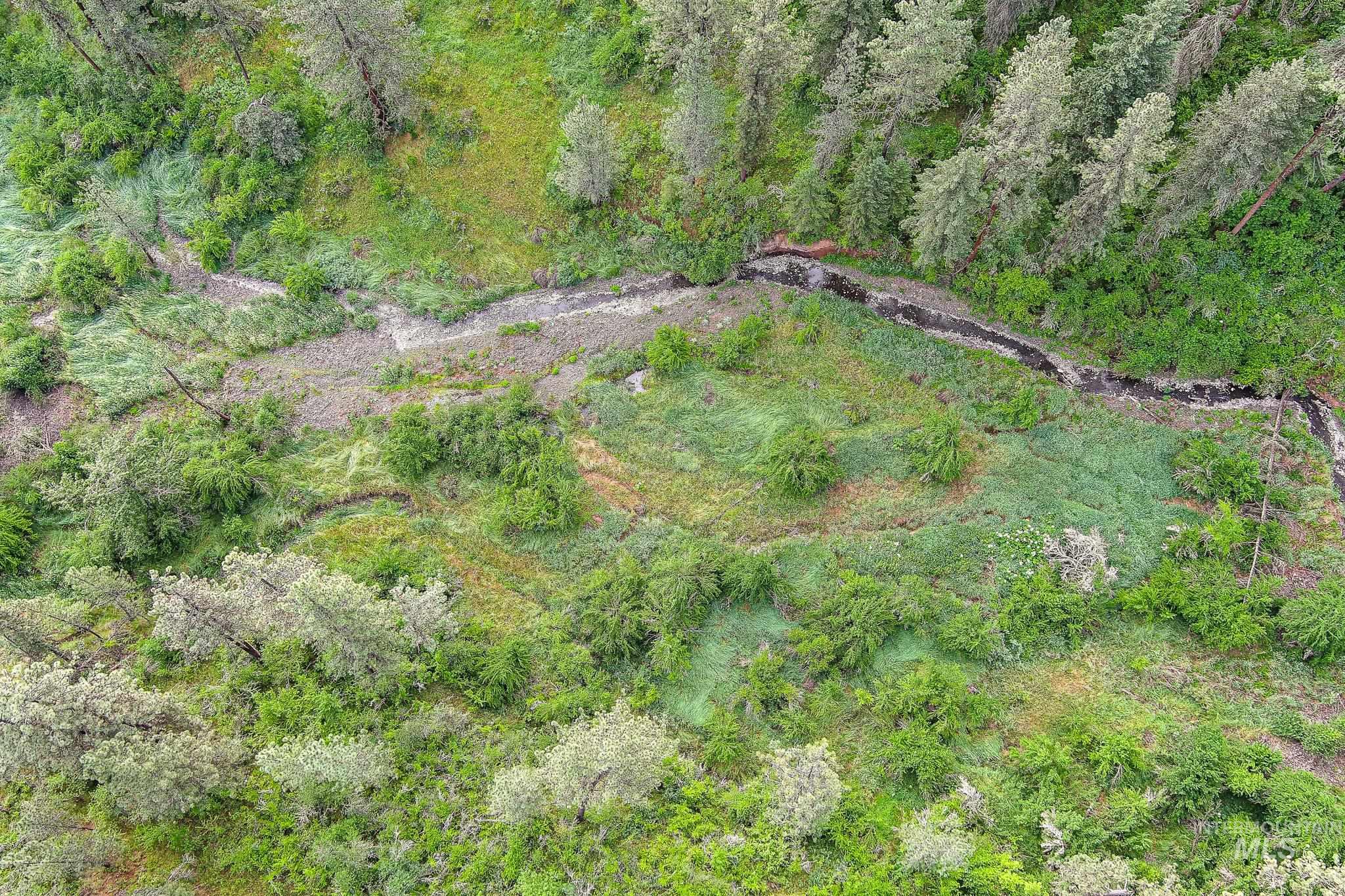 156 Butcher Creek Lane, Grangeville, Idaho 83530, 2 Bedrooms, 1 Bathroom, Residential For Sale, Price $499,000, 98976450