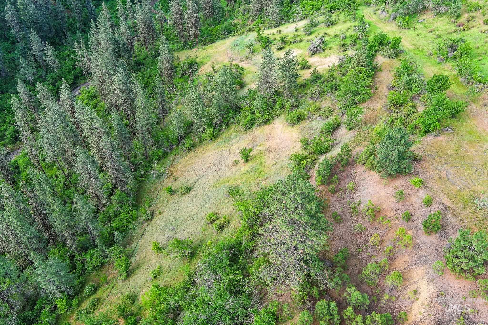 156 Butcher Creek Lane, Grangeville, Idaho 83530, 2 Bedrooms, 1 Bathroom, Residential For Sale, Price $499,000, 98976450