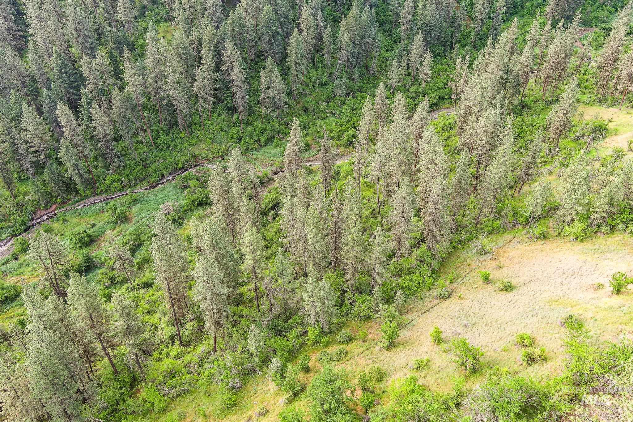 156 Butcher Creek Lane, Grangeville, Idaho 83530, 2 Bedrooms, 1 Bathroom, Residential For Sale, Price $499,000, 98976450