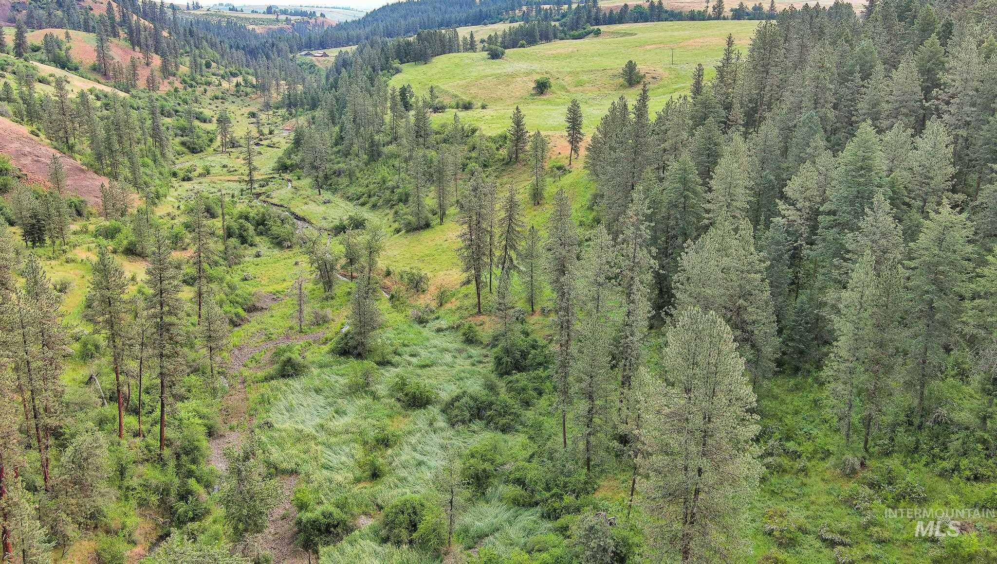 156 Butcher Creek Lane, Grangeville, Idaho 83530, 2 Bedrooms, 1 Bathroom, Residential For Sale, Price $499,000, 98976450