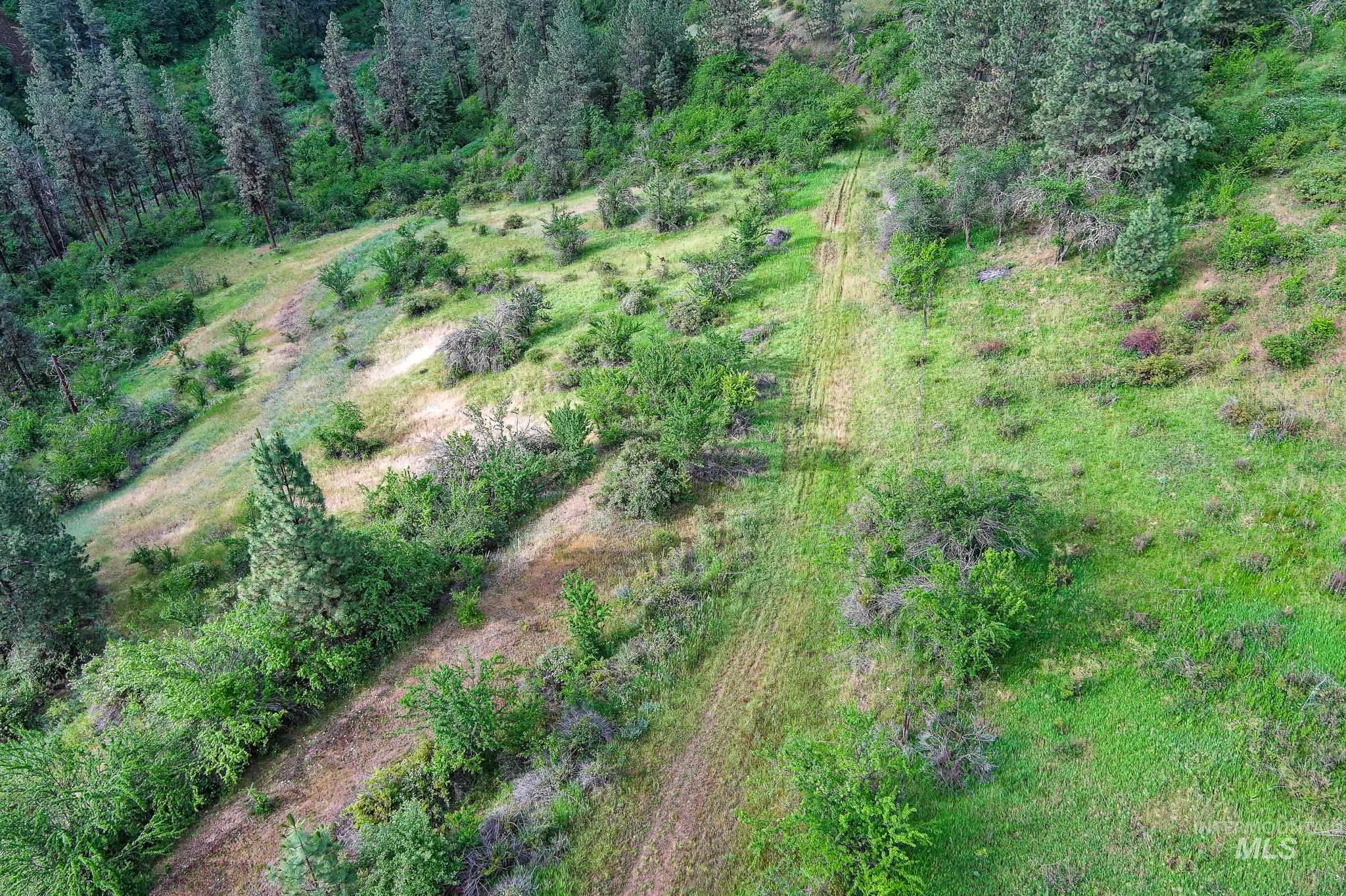 156 Butcher Creek Lane, Grangeville, Idaho 83530, 2 Bedrooms, 1 Bathroom, Residential For Sale, Price $499,000, 98976450