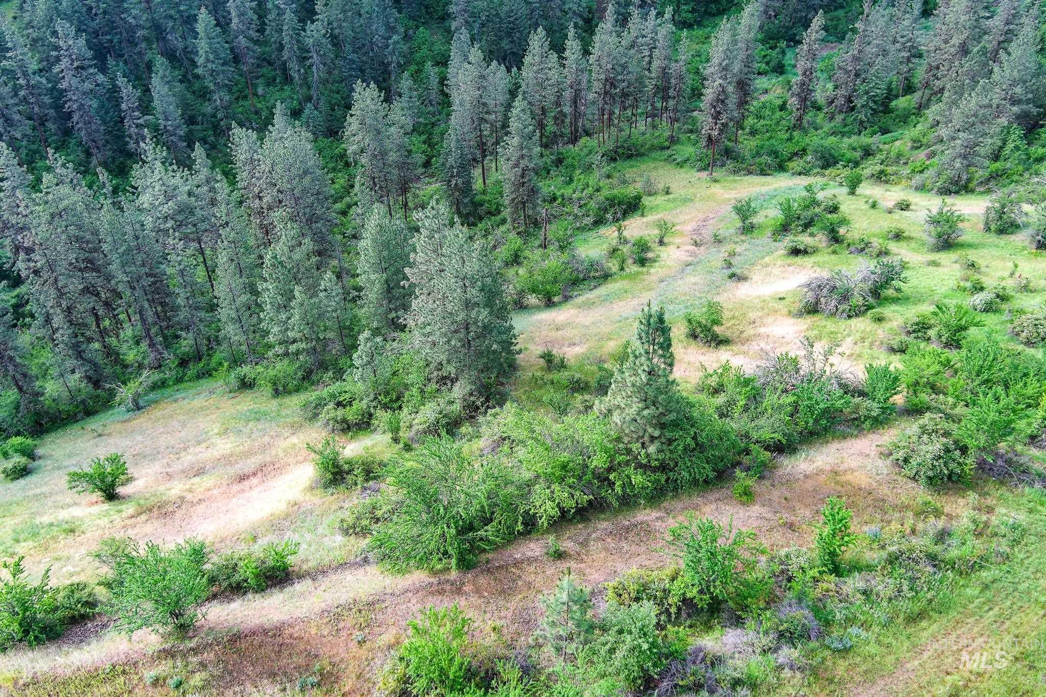 156 Butcher Creek Lane, Grangeville, Idaho 83530, 2 Bedrooms, 1 Bathroom, Residential For Sale, Price $499,000, 98976450