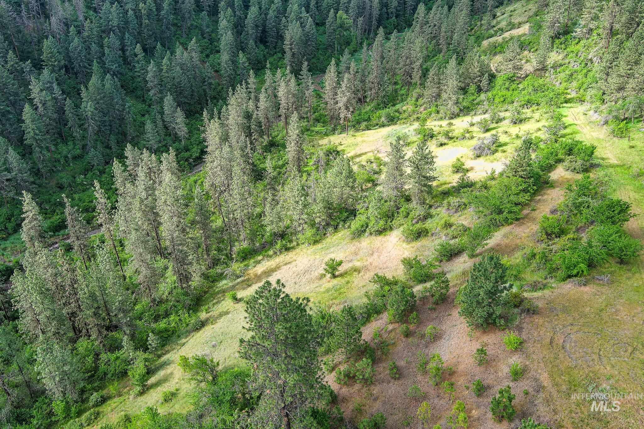 156 Butcher Creek Lane, Grangeville, Idaho 83530, 2 Bedrooms, 1 Bathroom, Residential For Sale, Price $499,000, 98976450