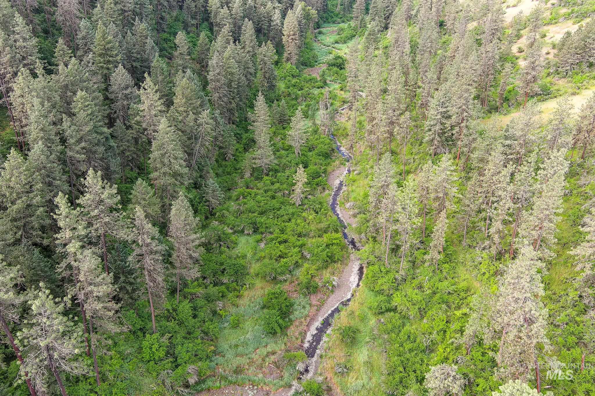 156 Butcher Creek Lane, Grangeville, Idaho 83530, 2 Bedrooms, 1 Bathroom, Residential For Sale, Price $499,000, 98976450