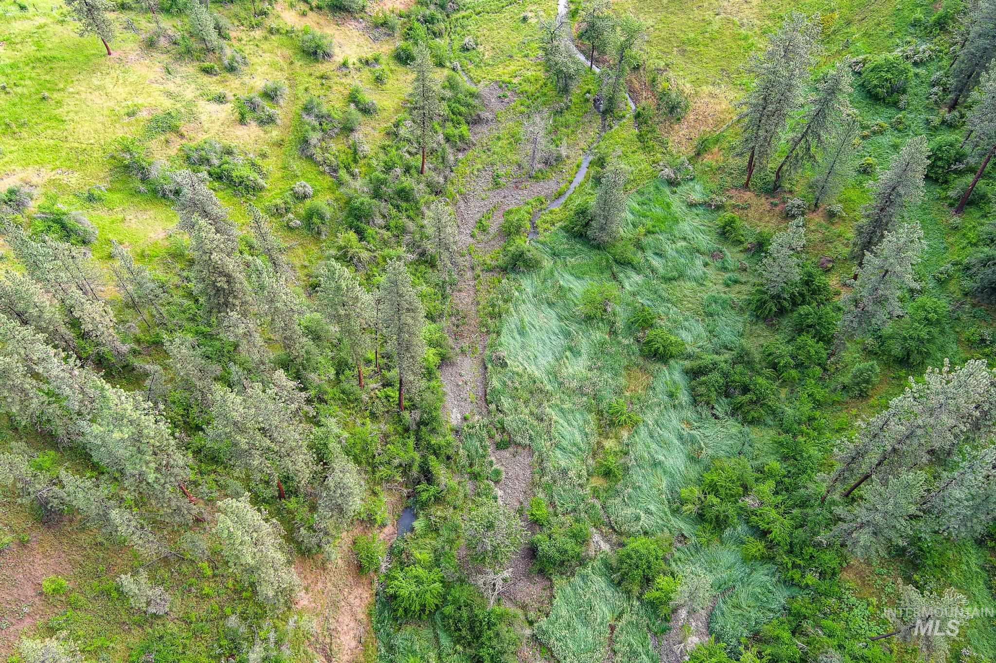 156 Butcher Creek Lane, Grangeville, Idaho 83530, 2 Bedrooms, 1 Bathroom, Residential For Sale, Price $499,000, 98976450