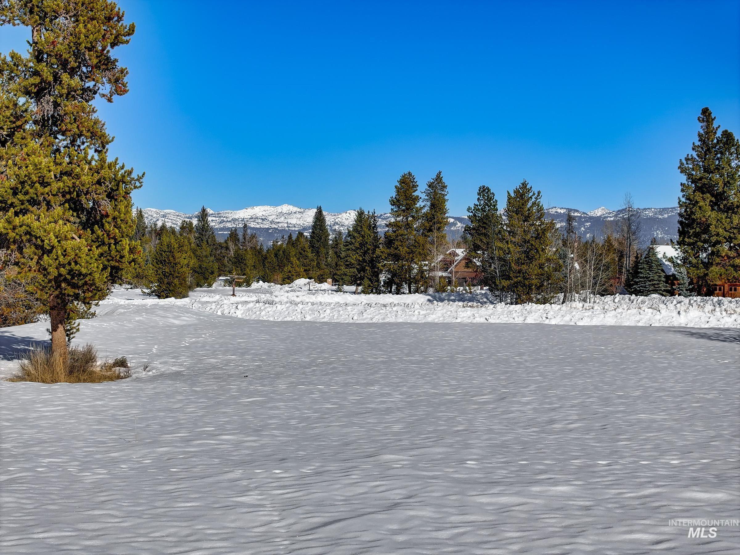 40 Moonflower Ct, McCall, Idaho 83638, Land For Sale, Price $220,000, 98976461