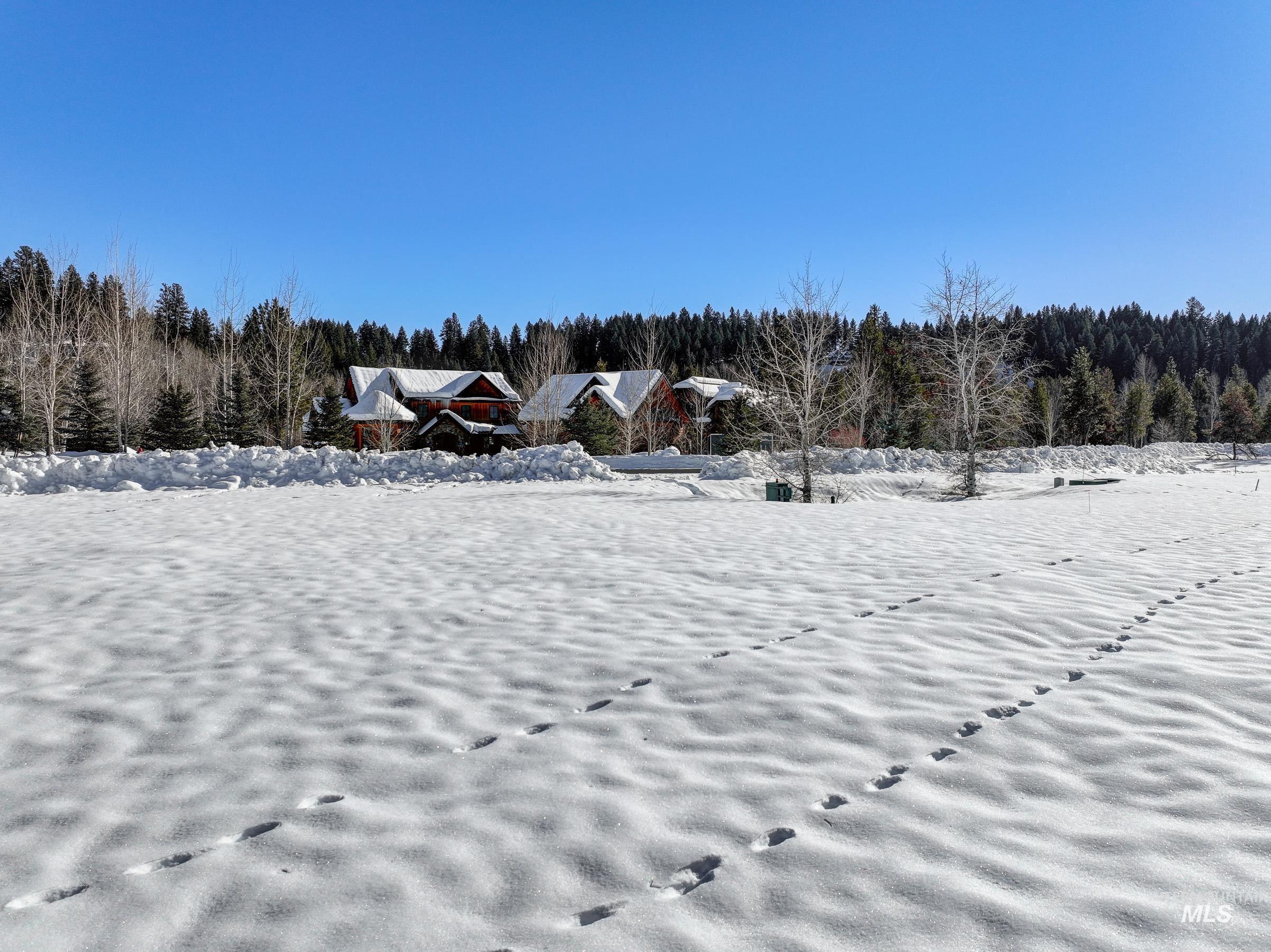 40 Moonflower Ct, McCall, Idaho 83638, Land For Sale, Price $220,000, 98976461