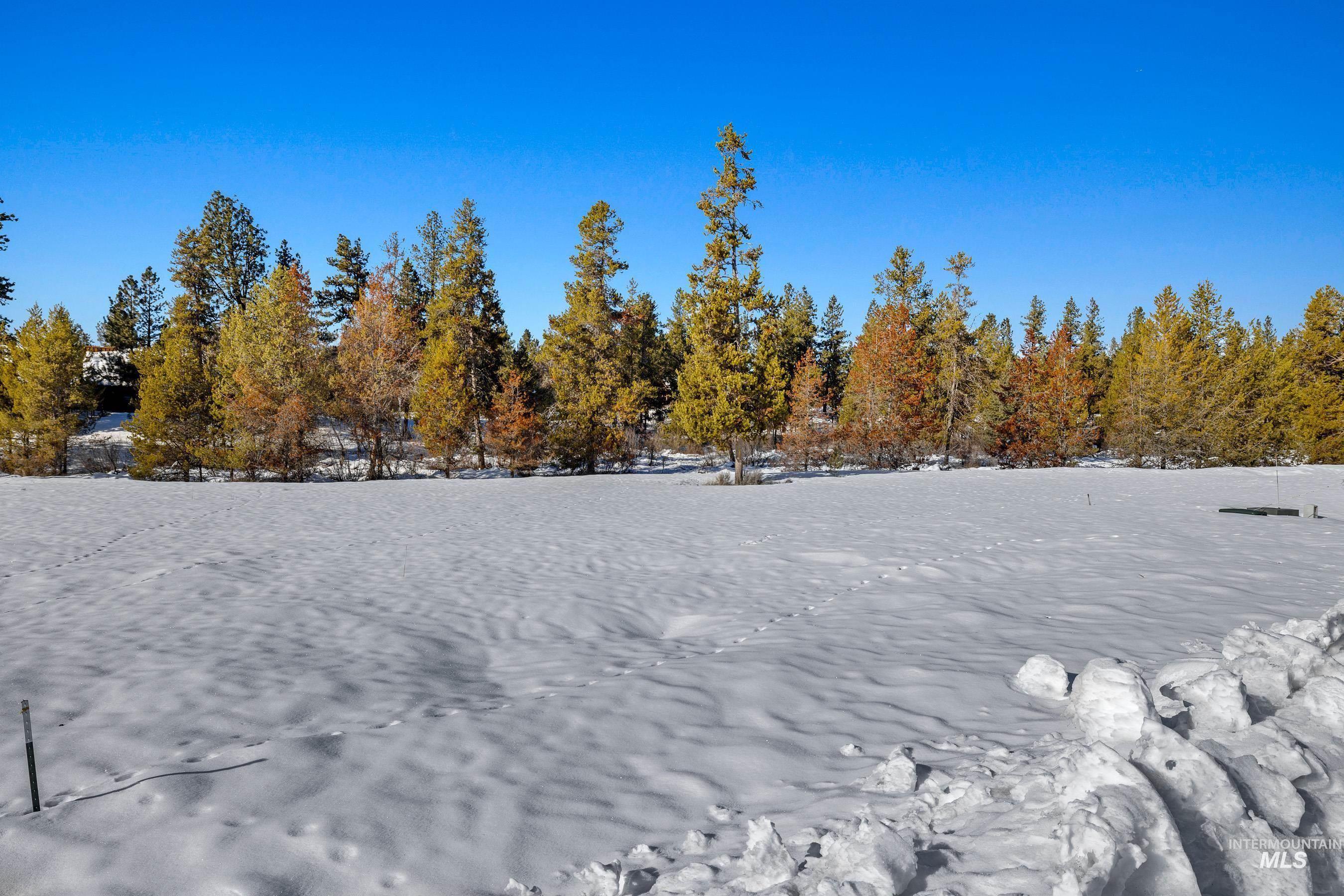 40 Moonflower Ct, McCall, Idaho 83638, Land For Sale, Price $220,000, 98976461