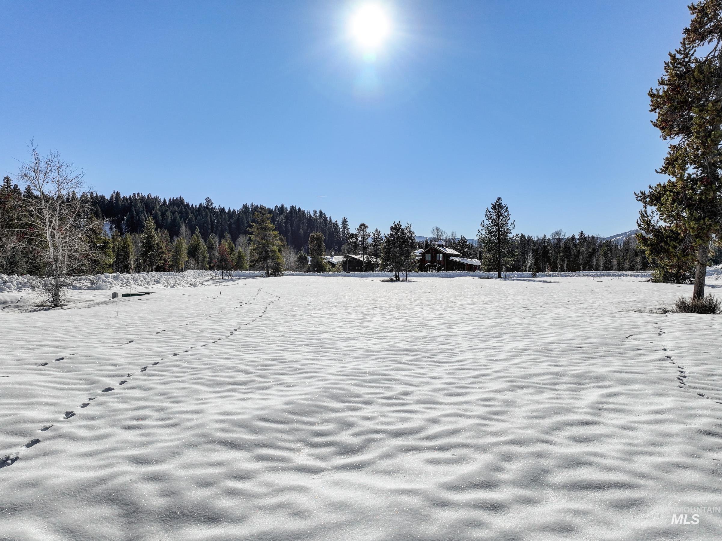 40 Moonflower Ct, McCall, Idaho 83638, Land For Sale, Price $220,000, 98976461