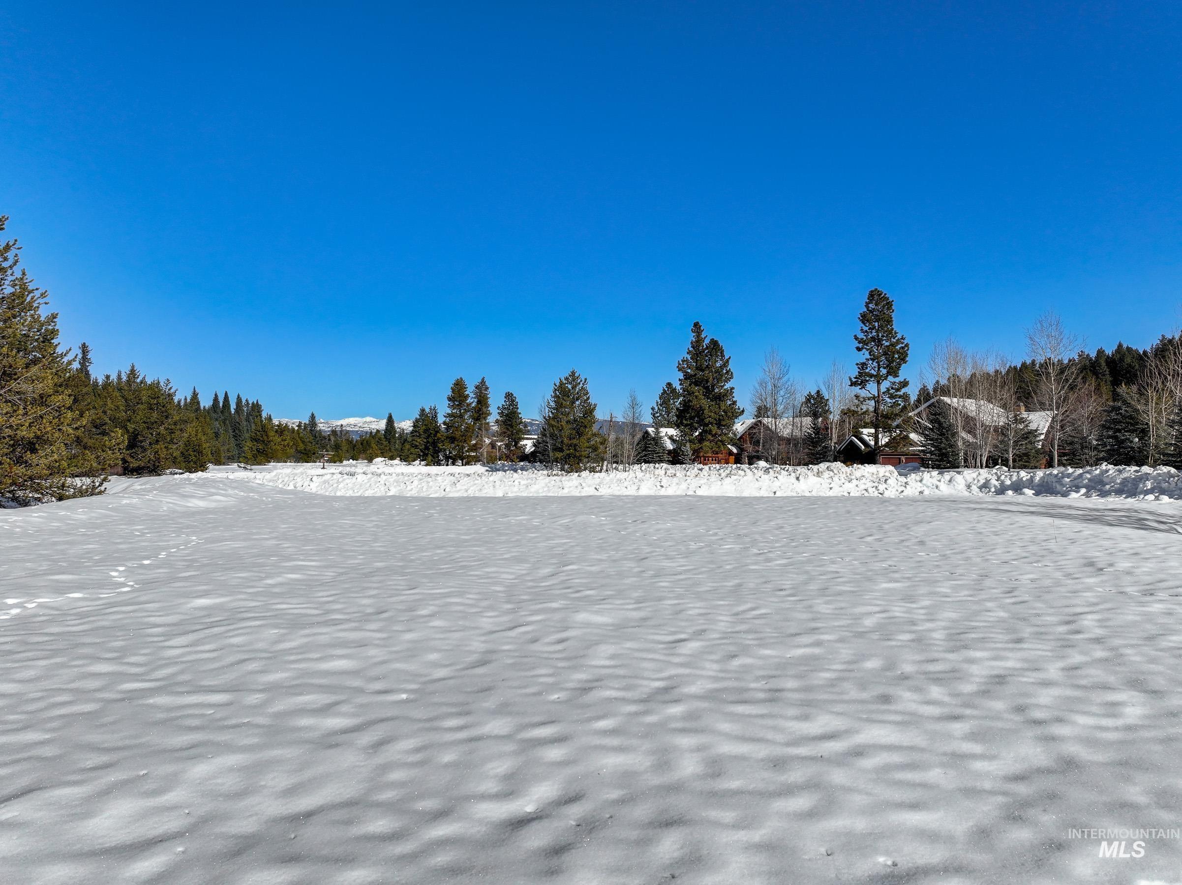 40 Moonflower Ct, McCall, Idaho 83638, Land For Sale, Price $220,000, 98976461
