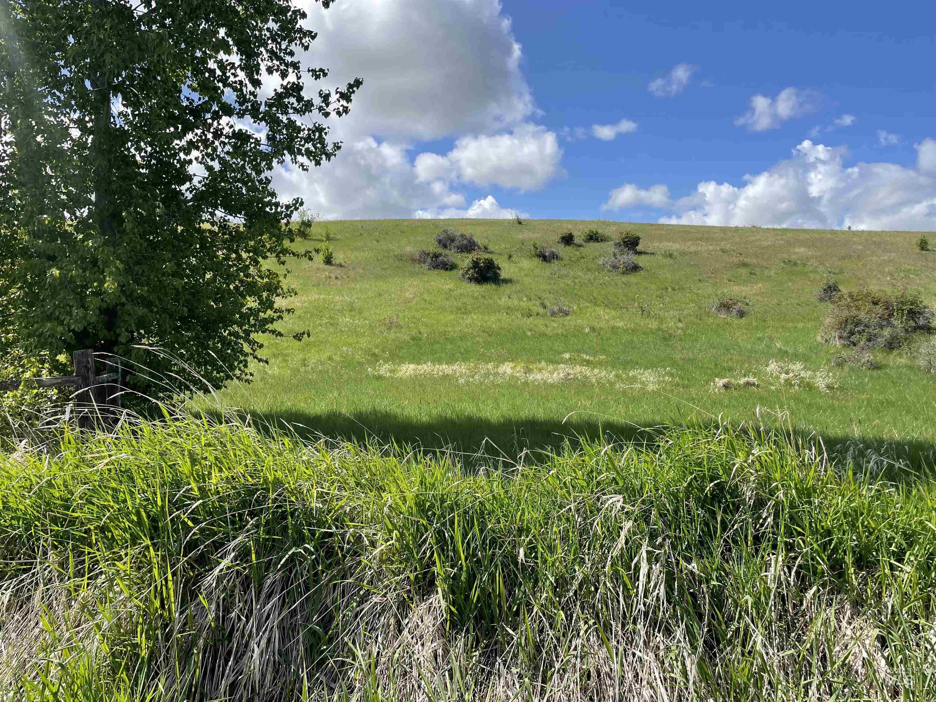 2590 Blaine, Moscow, Idaho 83843, Land For Sale, Price $775,000, 98976462