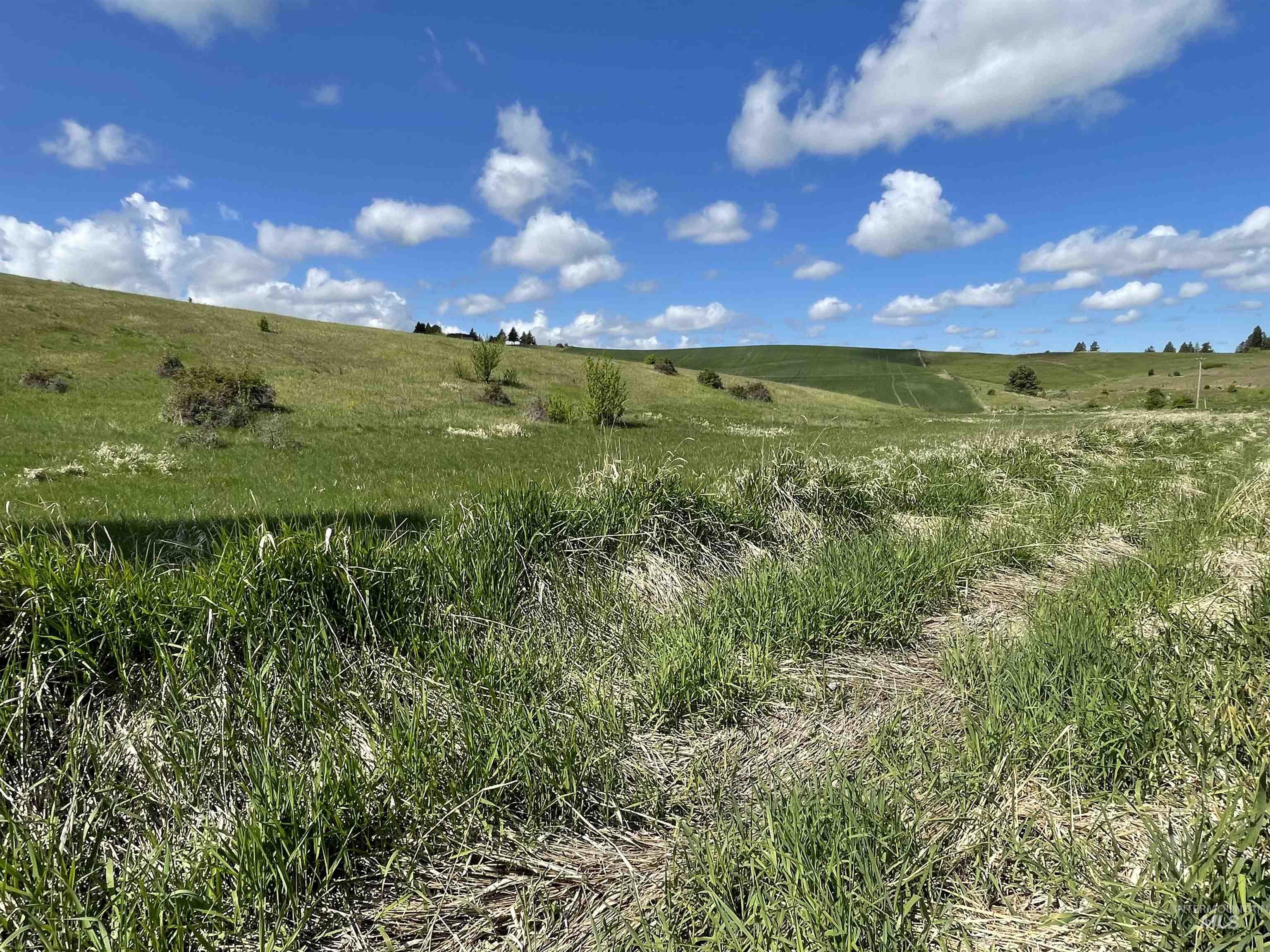 2590 Blaine, Moscow, Idaho 83843, Land For Sale, Price $775,000, 98976462