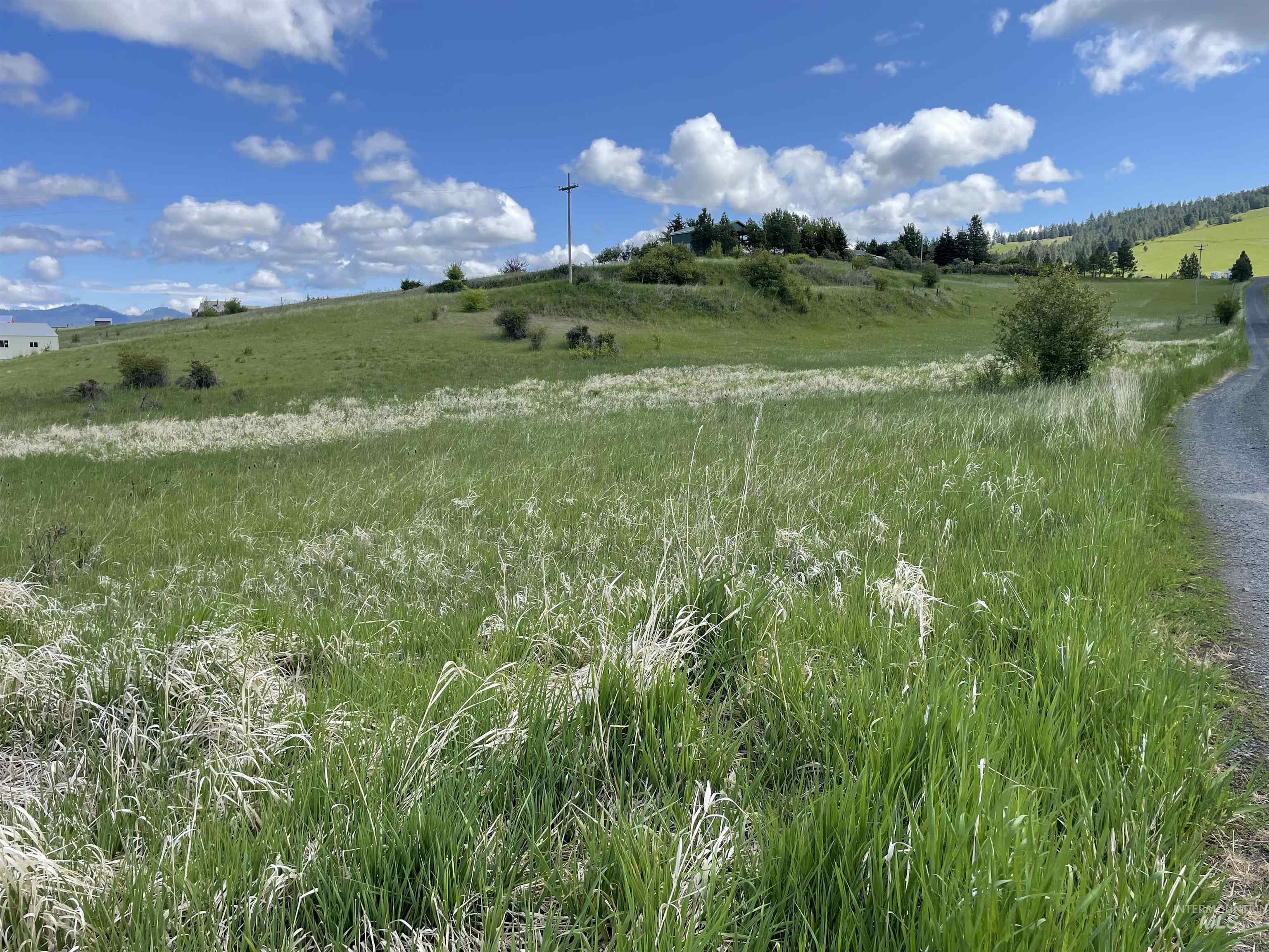 2590 Blaine, Moscow, Idaho 83843, Land For Sale, Price $775,000, 98976462