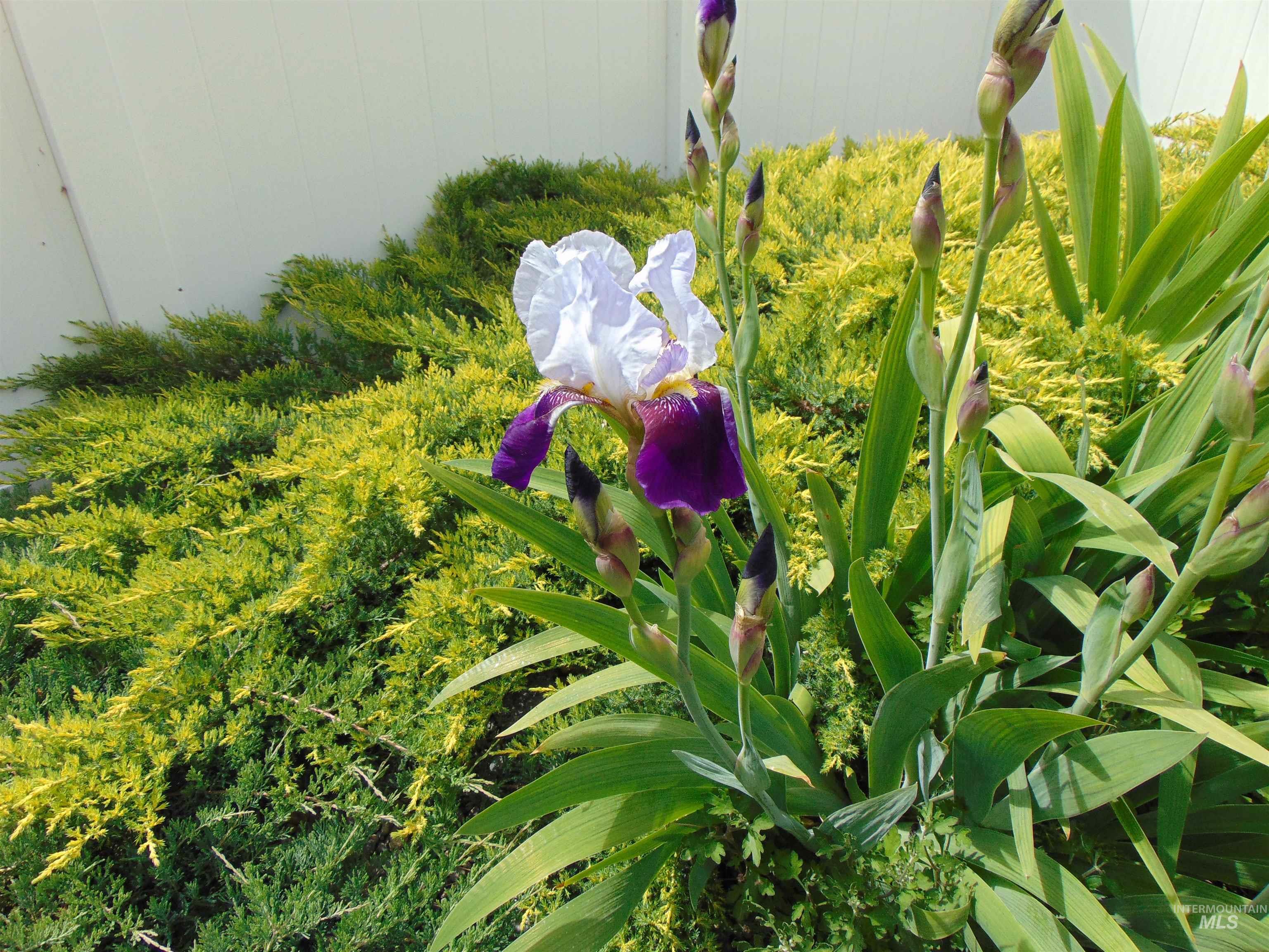 1488 W Idaho Ave., Ontario, Oregon 97914, 3 Bedrooms, 2 Bathrooms, Residential For Sale, Price $357,900, 98976465