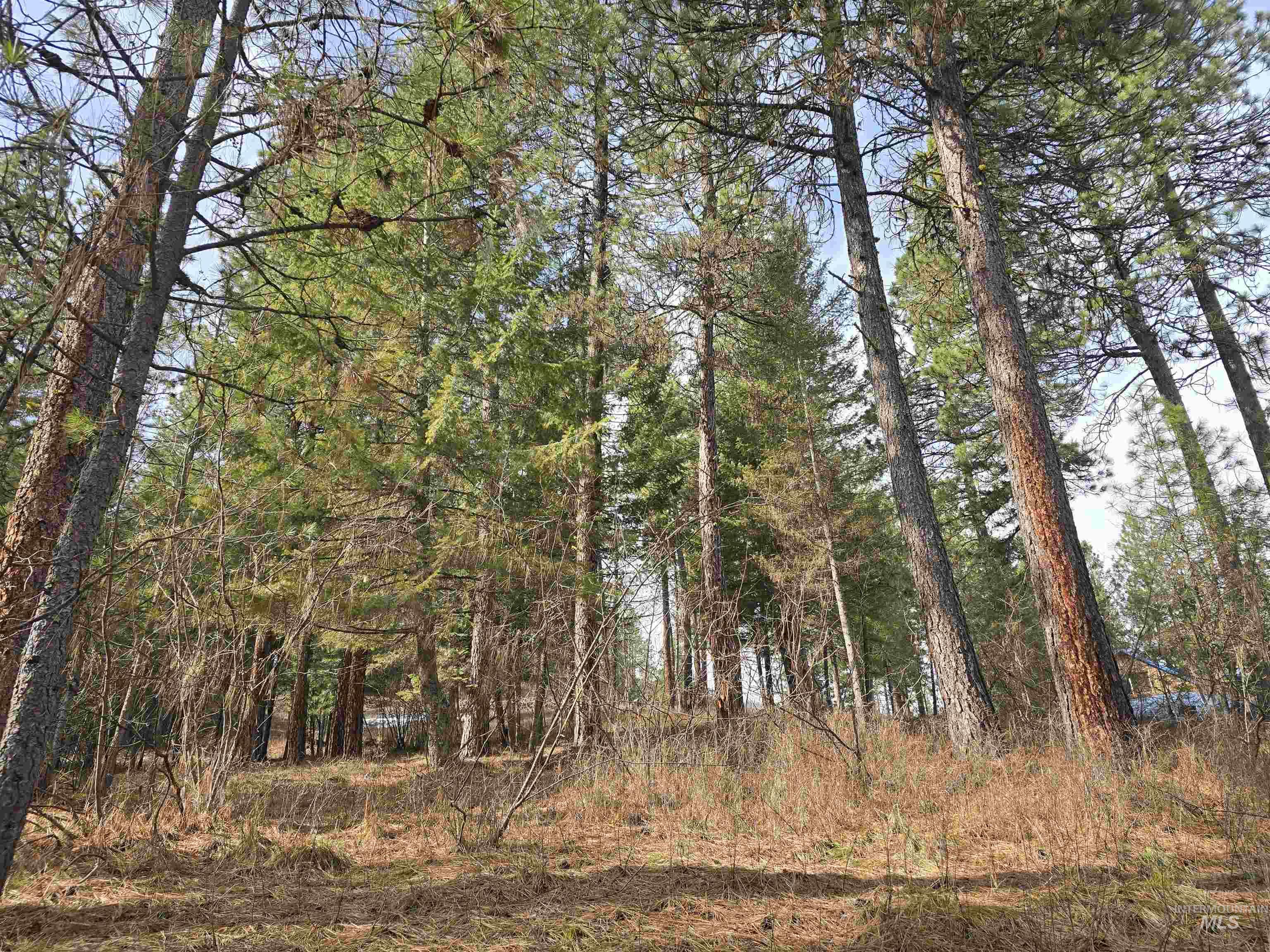 TBD Ranch Rd, Garden Valley, Idaho 83622, Land For Sale, Price $110,200,MLS 98976472