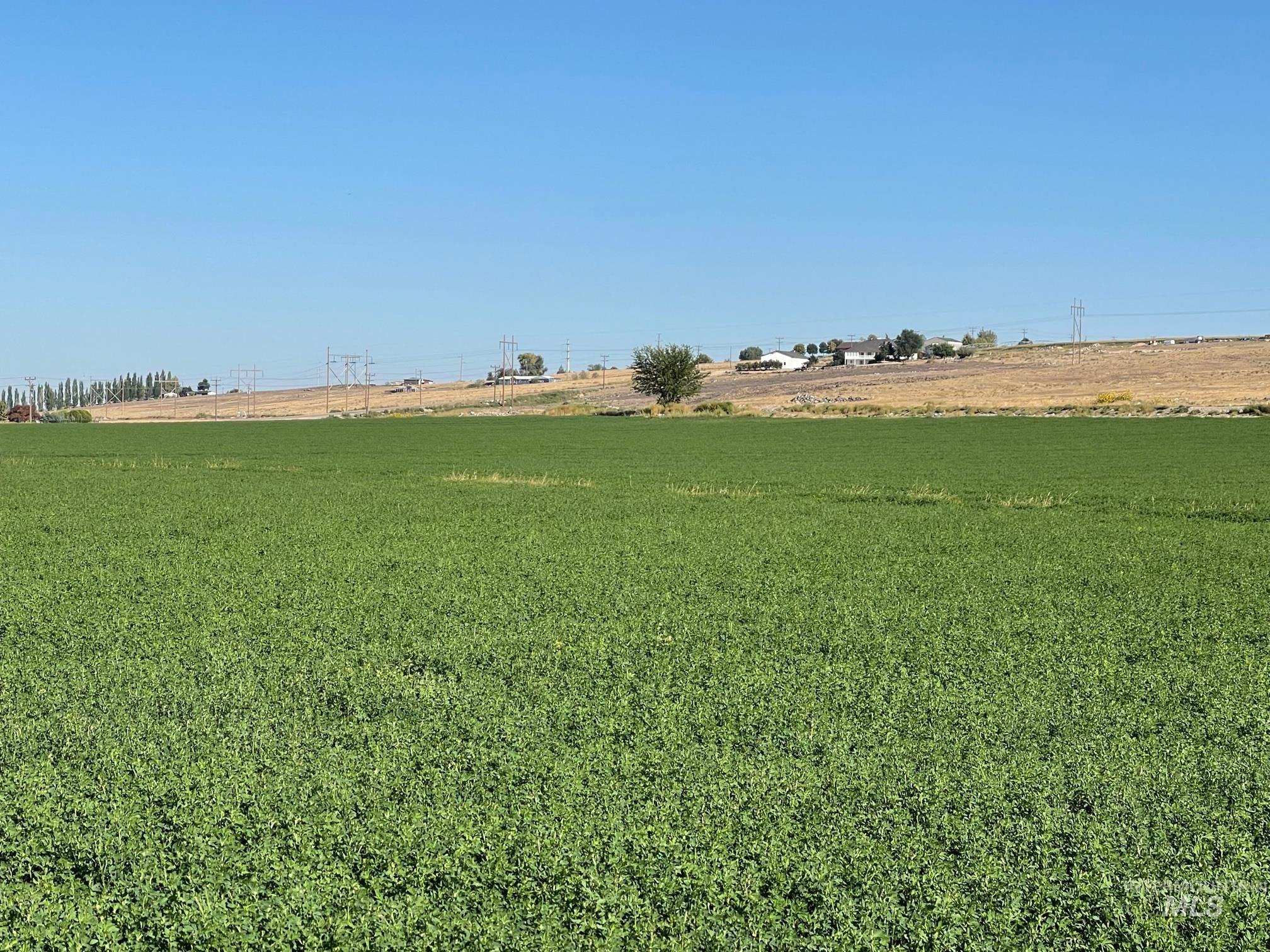 TBD Melmont Parcel 4, Melba, Idaho 83641, Land For Sale, Price $999,900,MLS 98976474