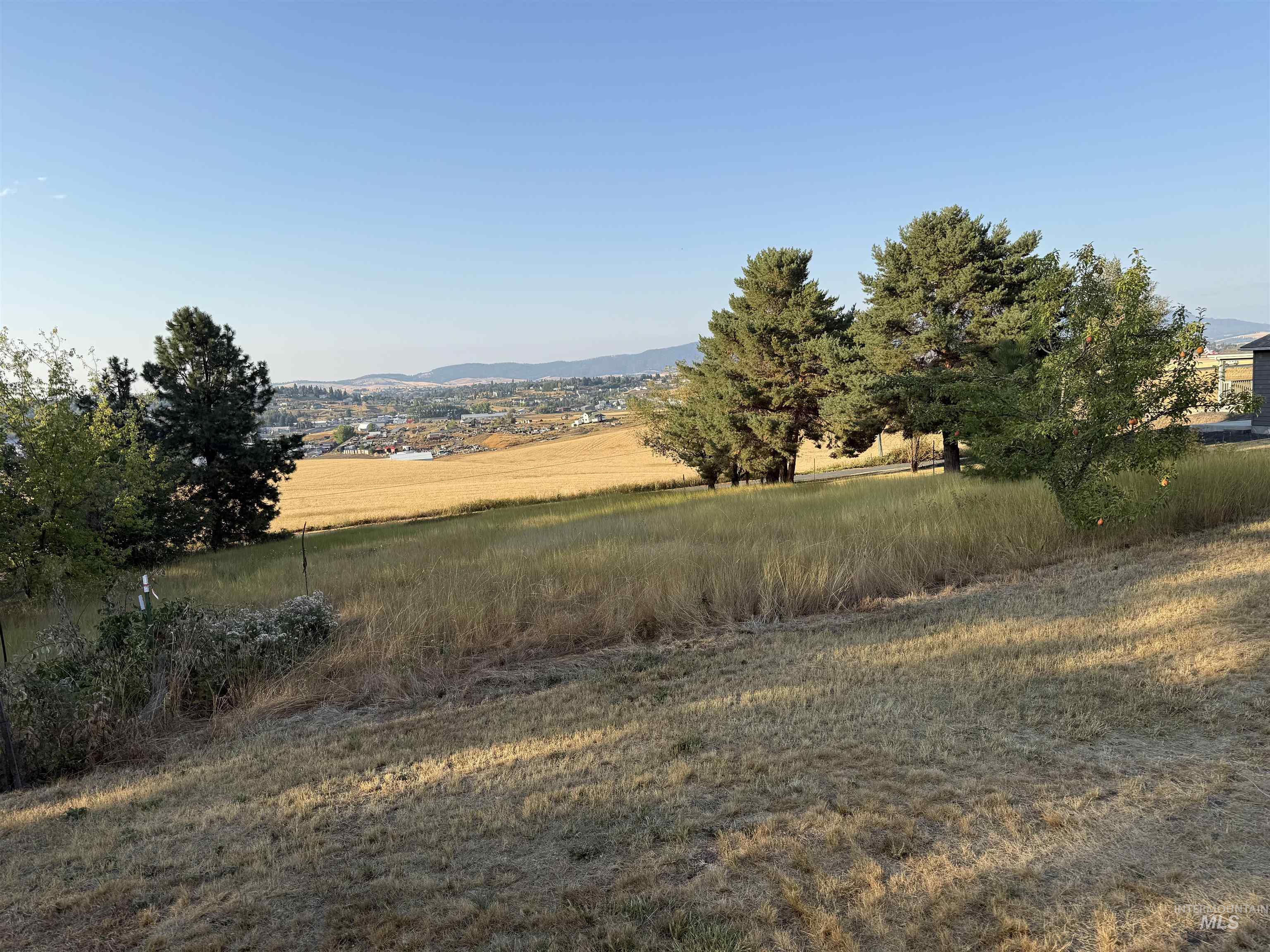 1022 Sincar Ln, Moscow, Idaho 83843, 1 Bedroom, 1 Bathroom, Residential For Sale, Price $425,000, 98976477