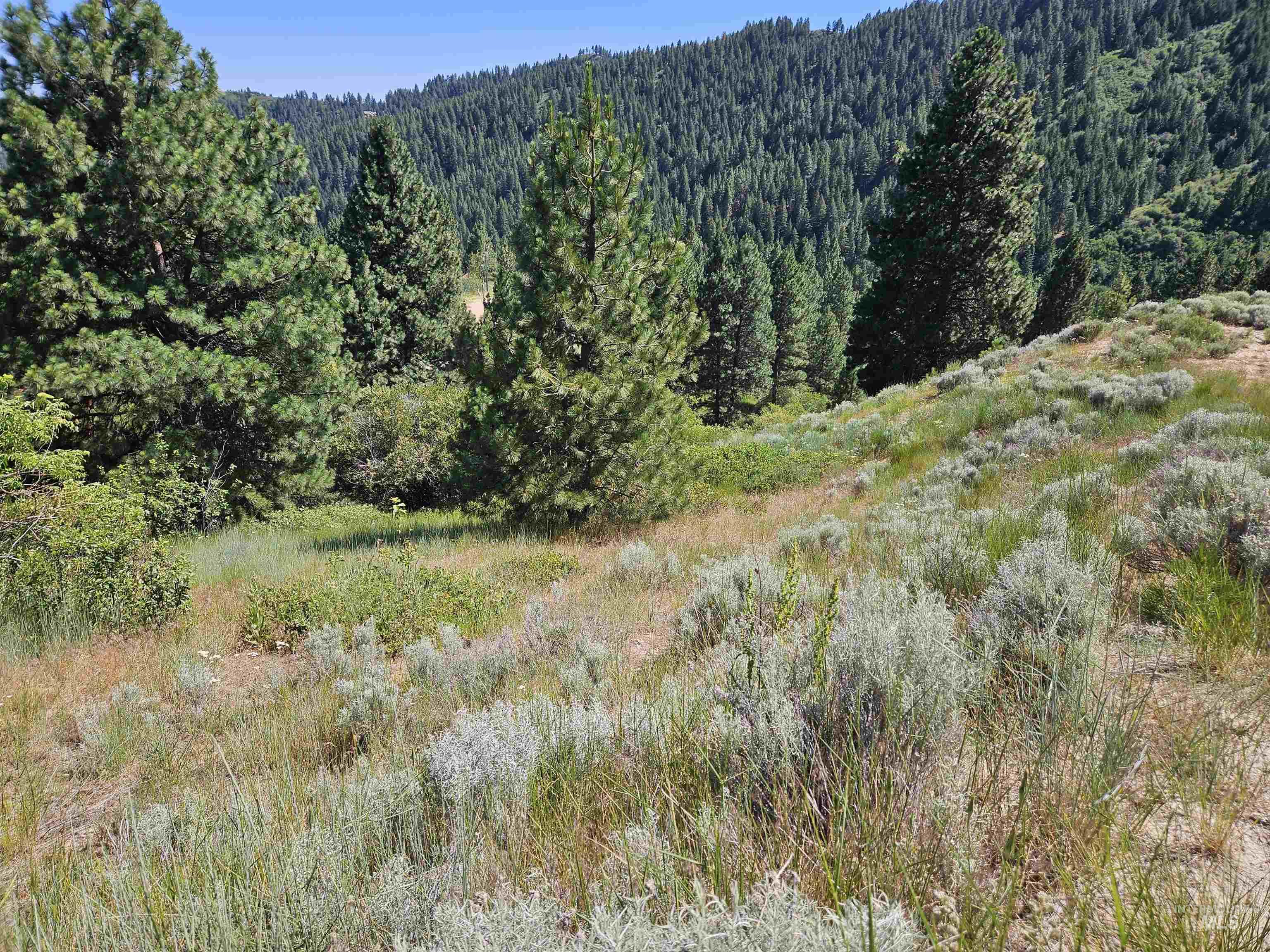 Lot 64 Wilderness Way, Boise, Idaho 83716, Land For Sale, Price $69,000, 98976480
