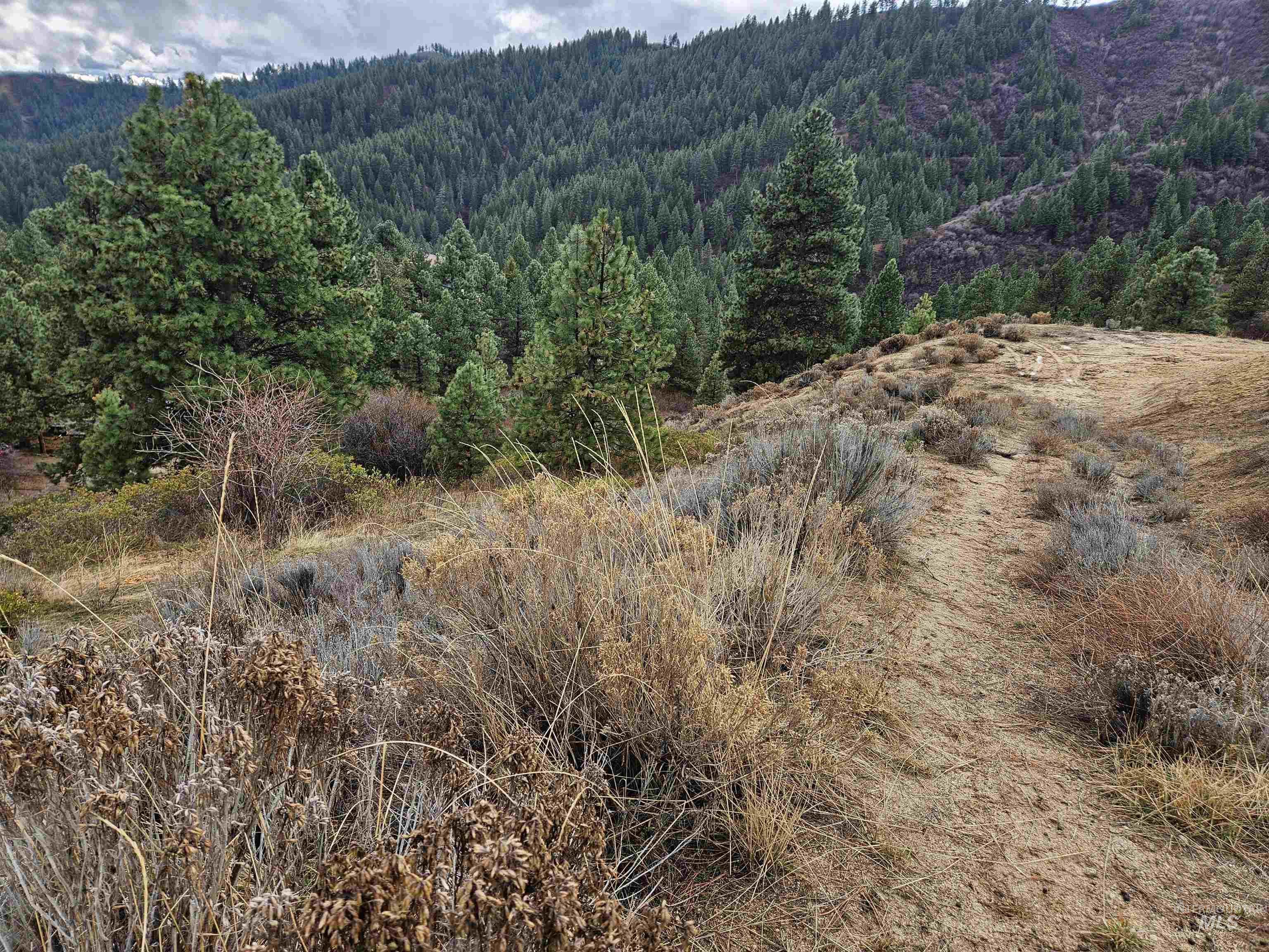 Lot 64 Wilderness Way, Boise, Idaho 83716, Land For Sale, Price $79,500, 98976480