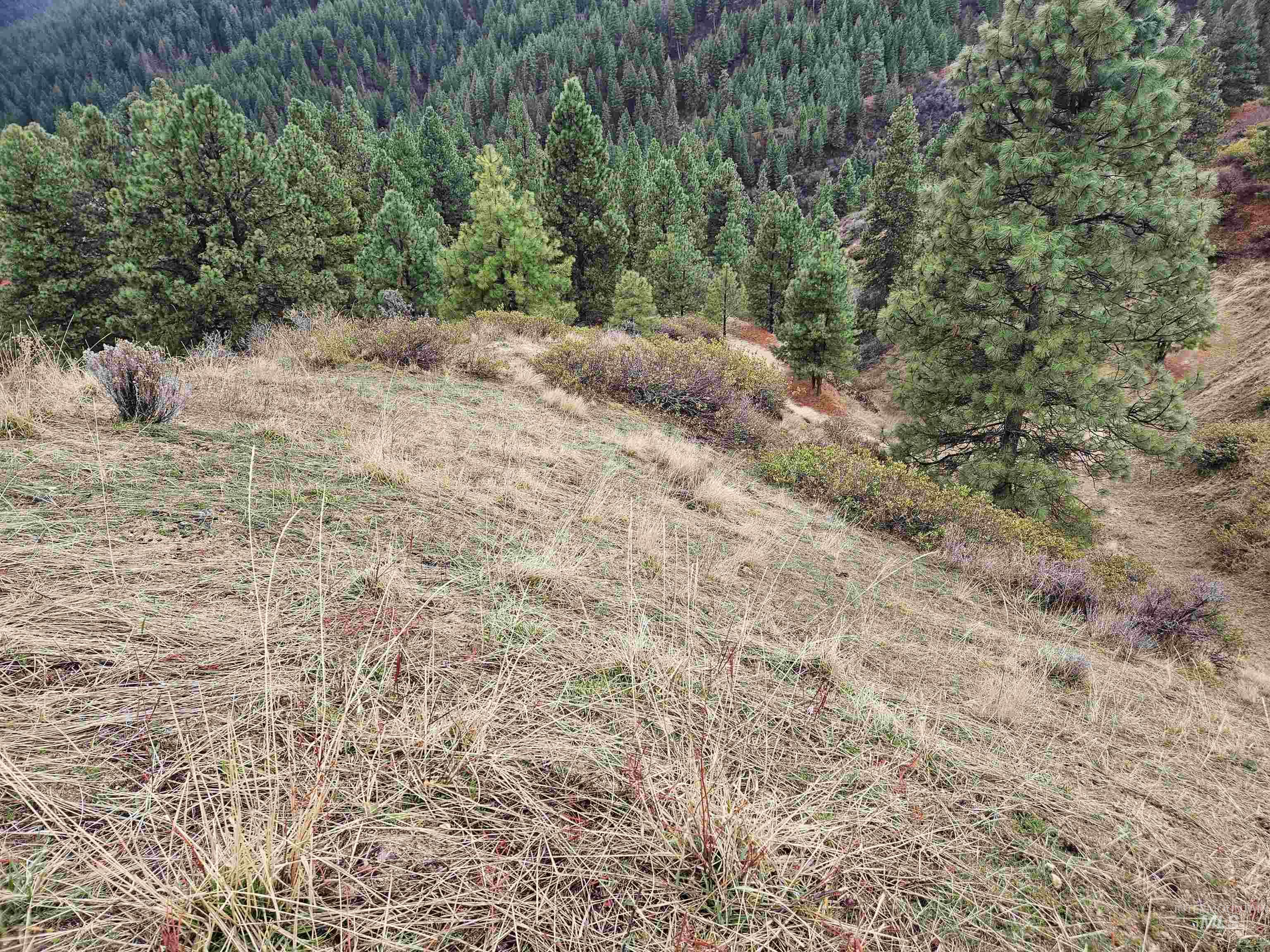 Lot 64 Wilderness Way, Boise, Idaho 83716, Land For Sale, Price $79,500, 98976480