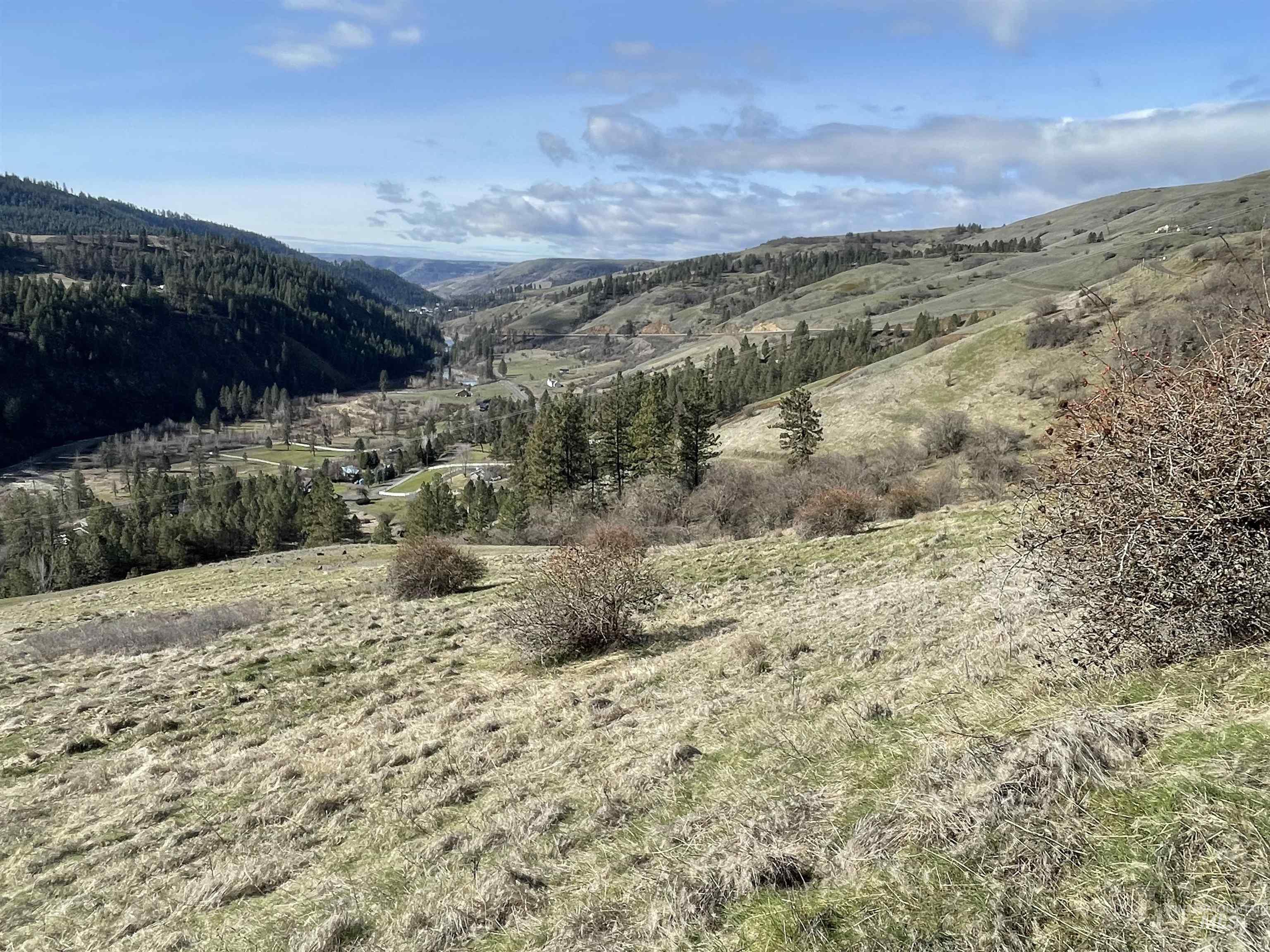 1028 Redemption Lane, Kendrick, Idaho 83537, 3 Bedrooms, 3.5 Bathrooms, Residential For Sale, Price $895,000,MLS 98976482