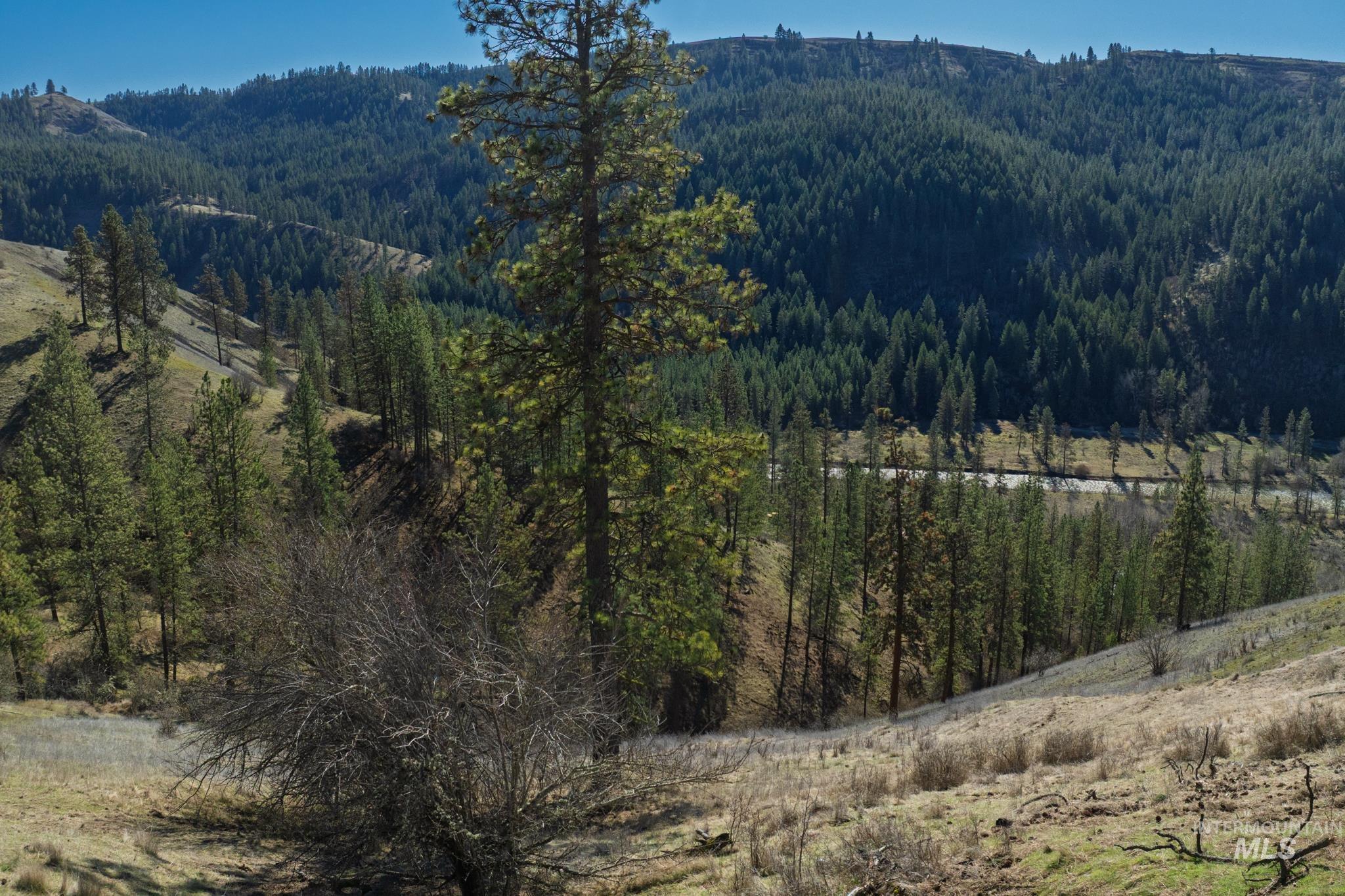 1028 Redemption Lane, Kendrick, Idaho 83537, 3 Bedrooms, 3.5 Bathrooms, Residential For Sale, Price $895,000,MLS 98976482