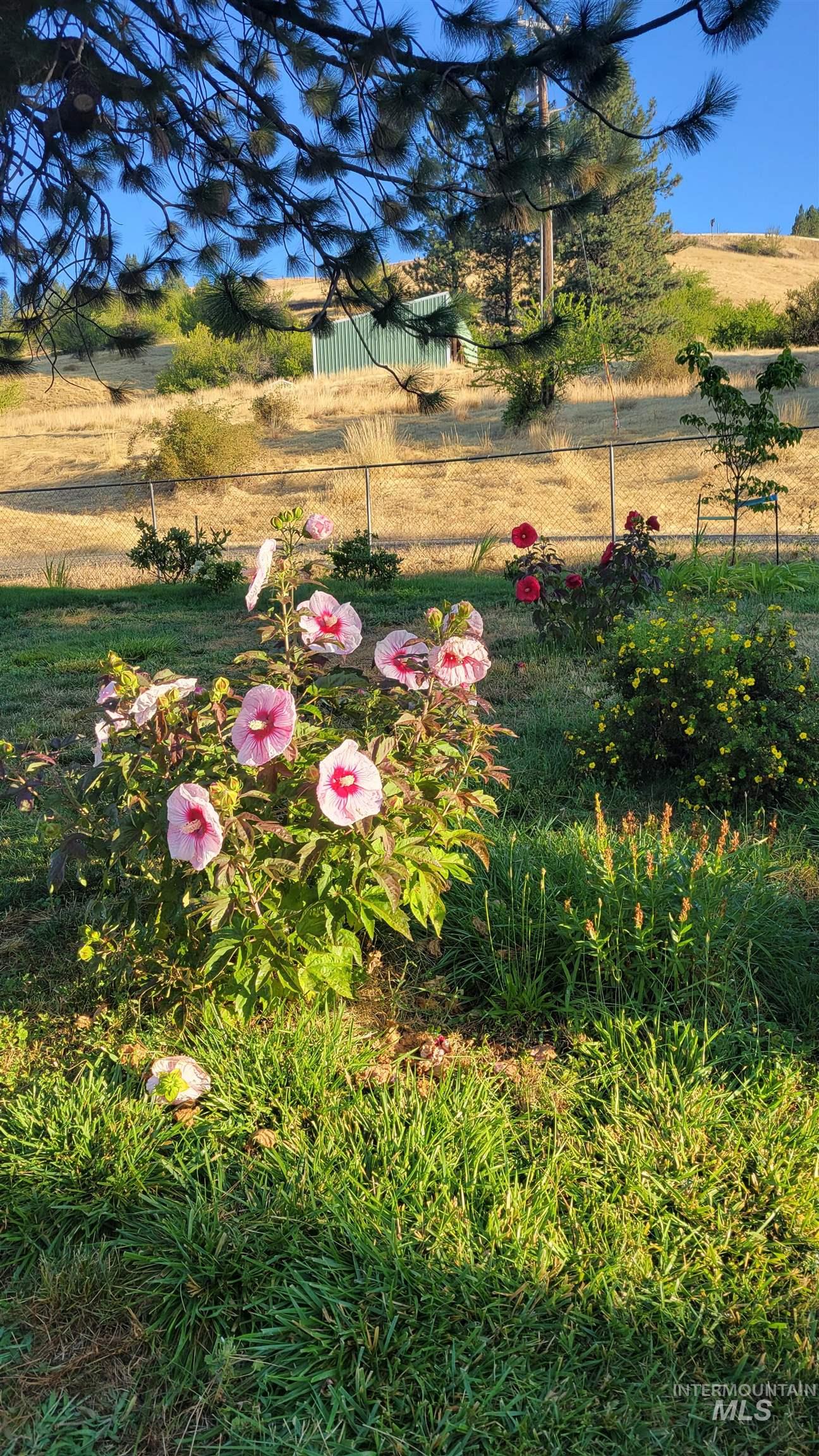 1028 Redemption Lane, Kendrick, Idaho 83537, 3 Bedrooms, 3 Bathrooms, Residential For Sale, Price $925,000, 98976482