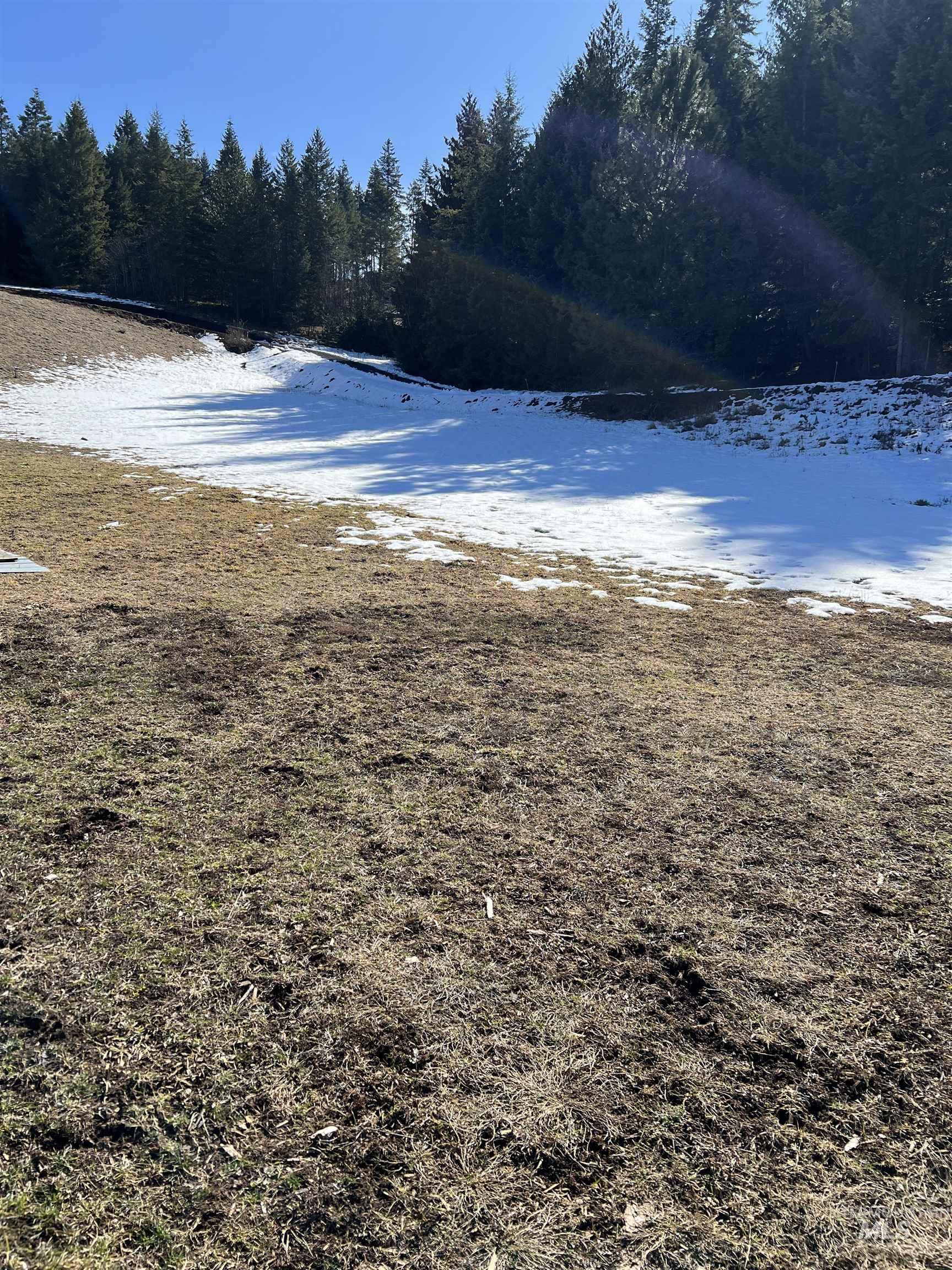 TBD Shenandoah First Street, Kamiah, Idaho 83536, Land For Sale, Price $139,000,MLS 98976485