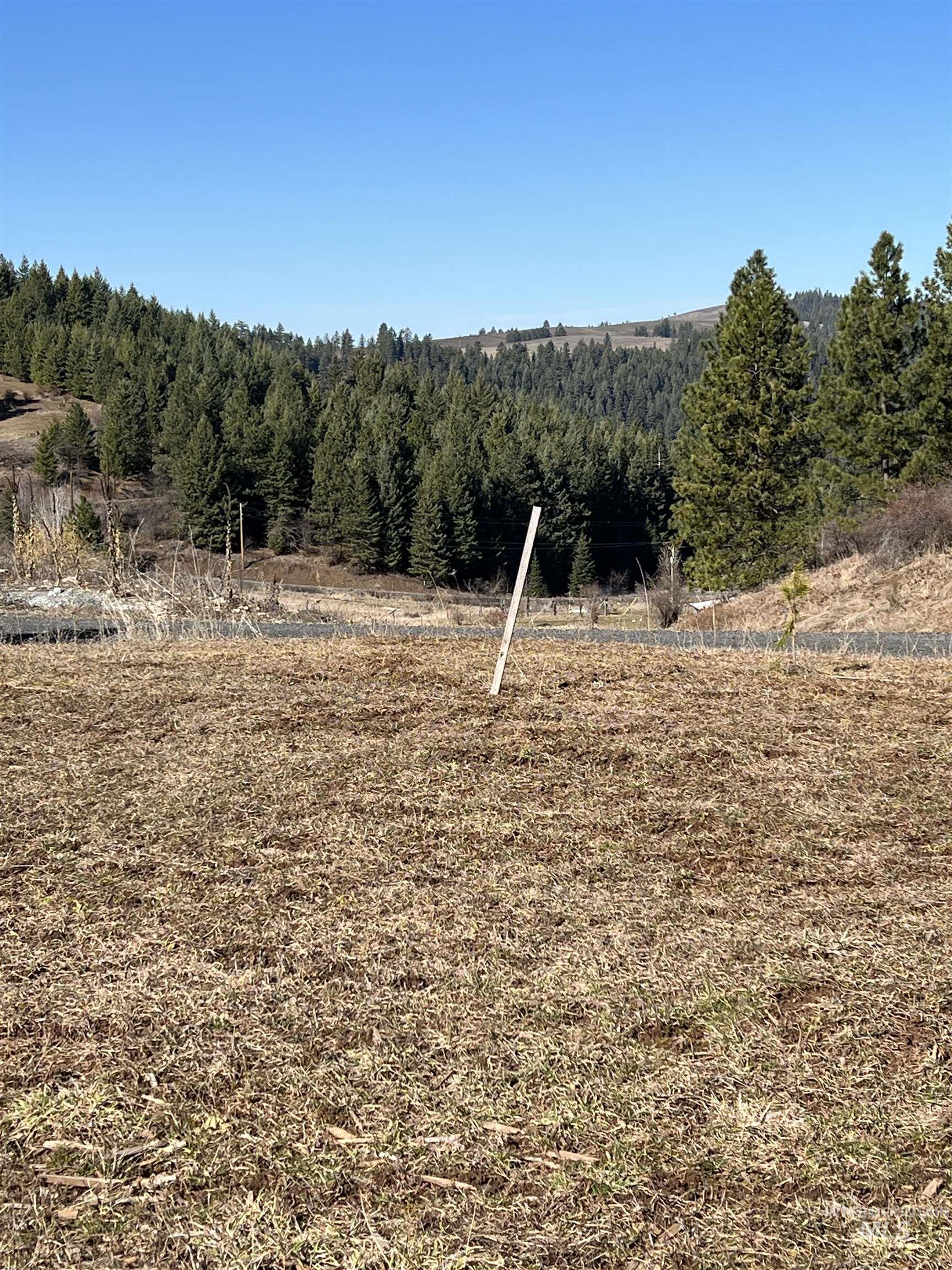 TBD Shenandoah First Street, Kamiah, Idaho 83536, Land For Sale, Price $139,000,MLS 98976485