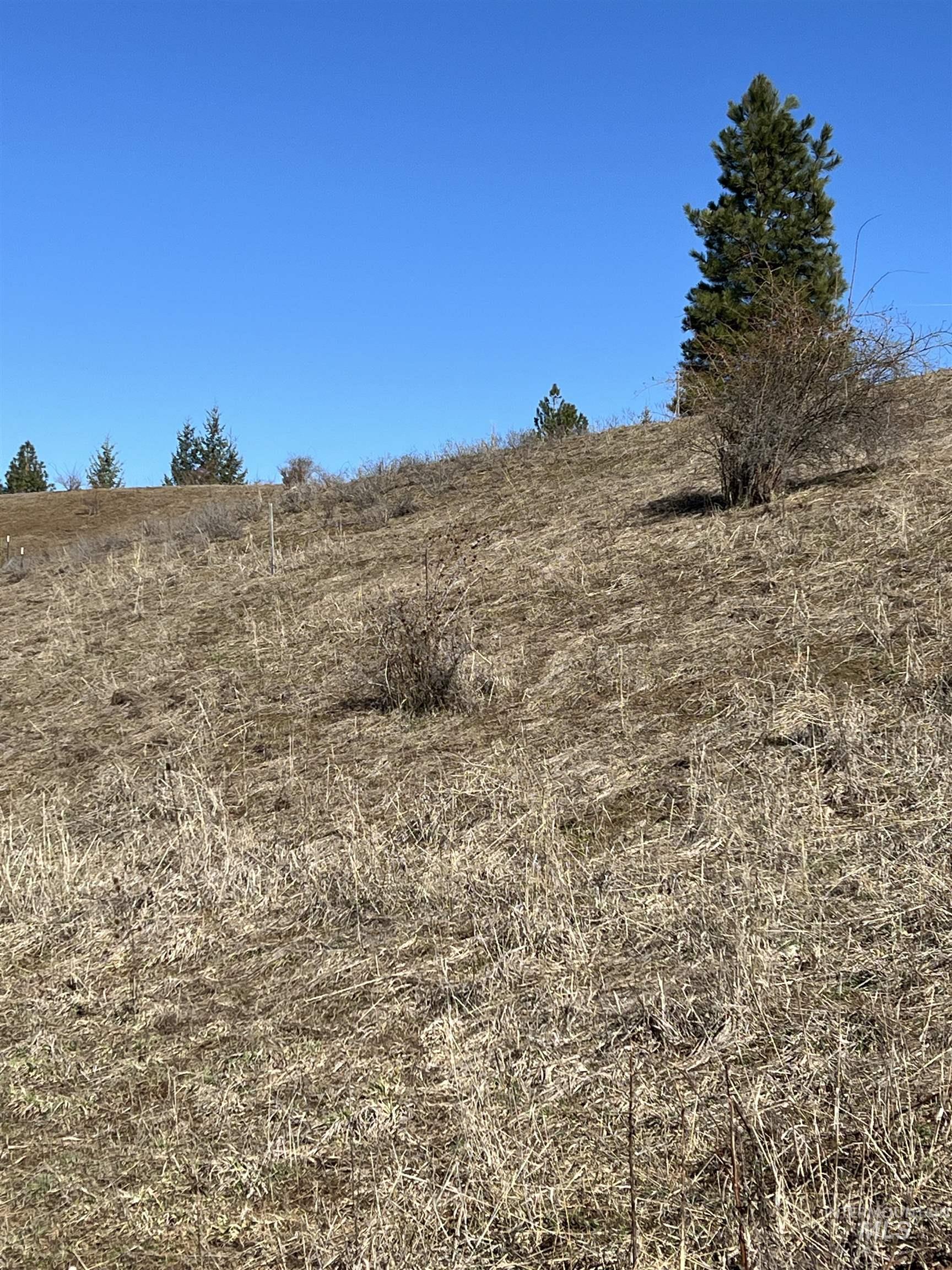 TBD Shenandoah First Street, Kamiah, Idaho 83536, Land For Sale, Price $139,000,MLS 98976485