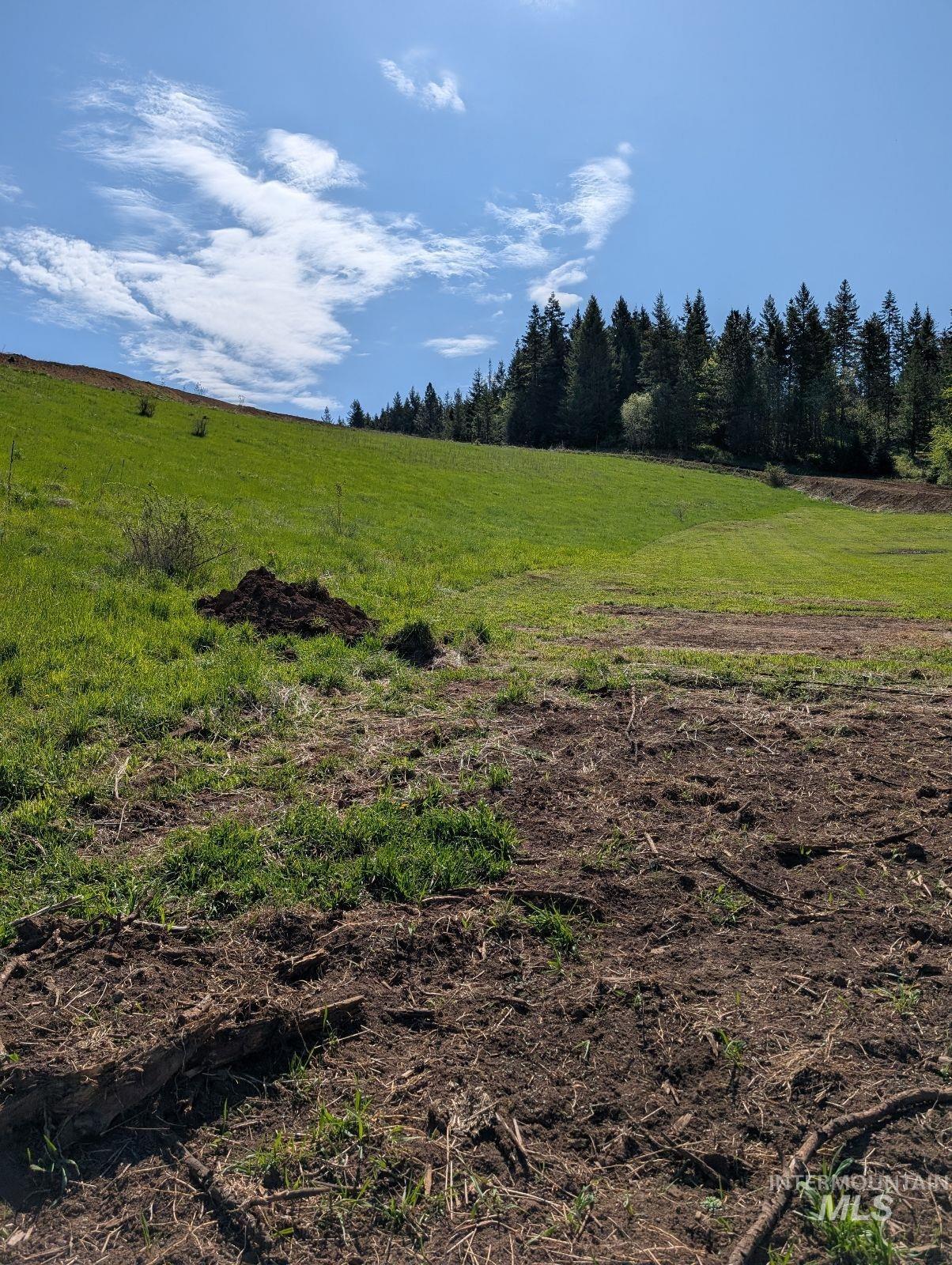 TBD Shenandoah First Street, Kamiah, Idaho 83536, Land For Sale, Price $139,000,MLS 98976485