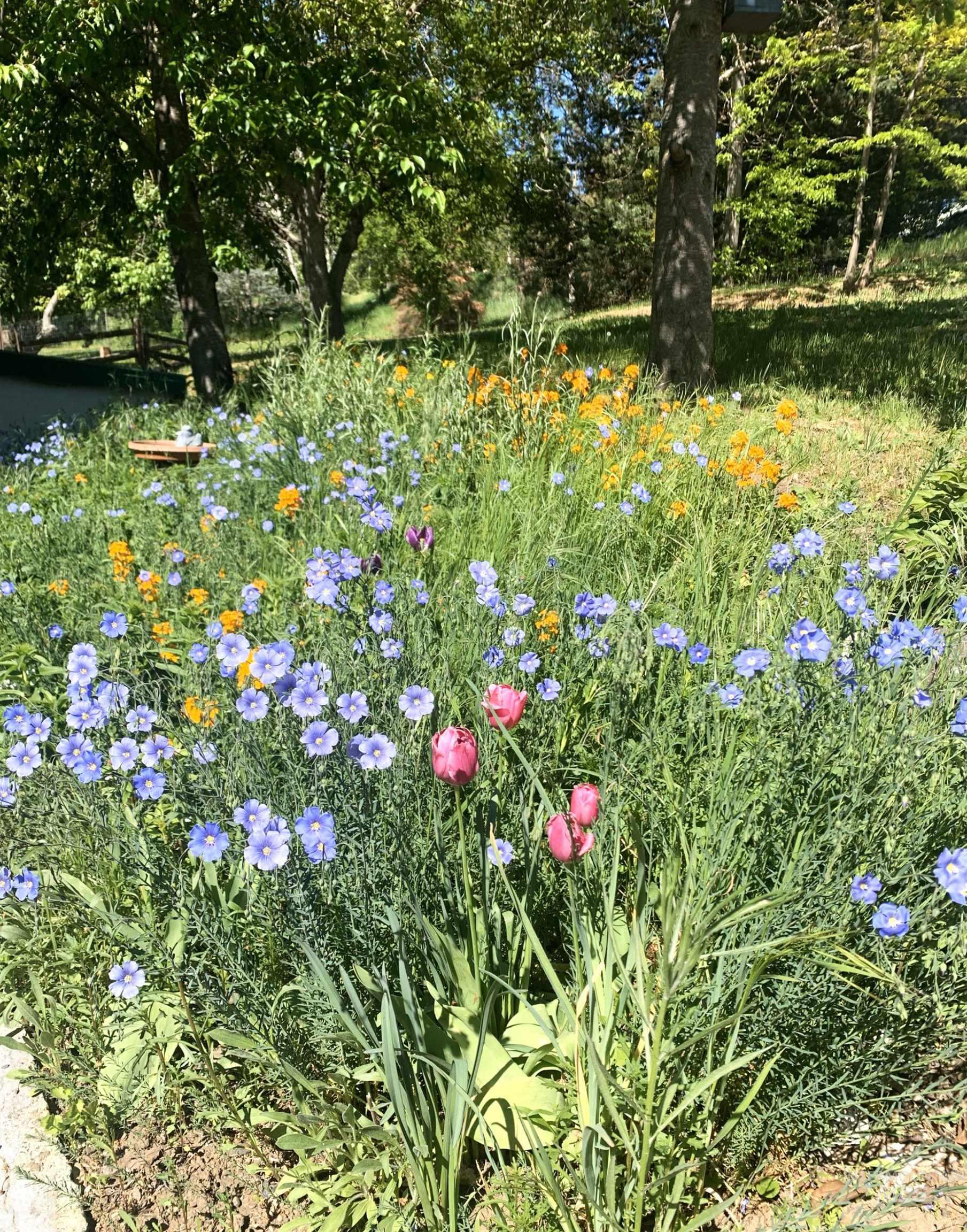 305 3rd Street, Juliaetta, Idaho 83535, 2 Bedrooms, 2 Bathrooms, Residential For Sale, Price $345,000, 98976505