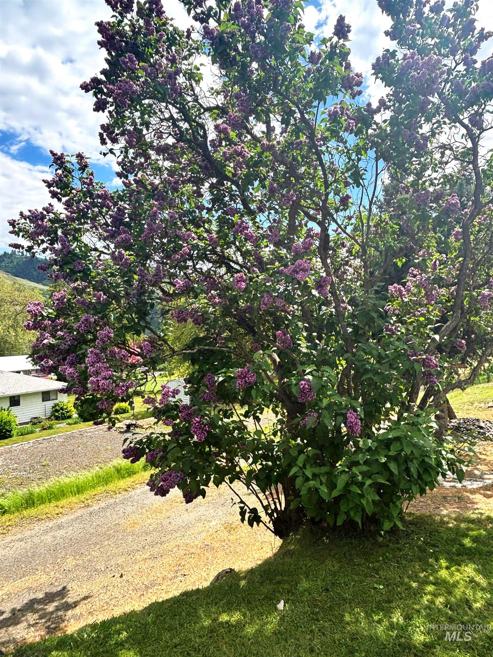 305 3rd Street, Juliaetta, Idaho 83535, 2 Bedrooms, 2 Bathrooms, Residential For Sale, Price $345,000, 98976505