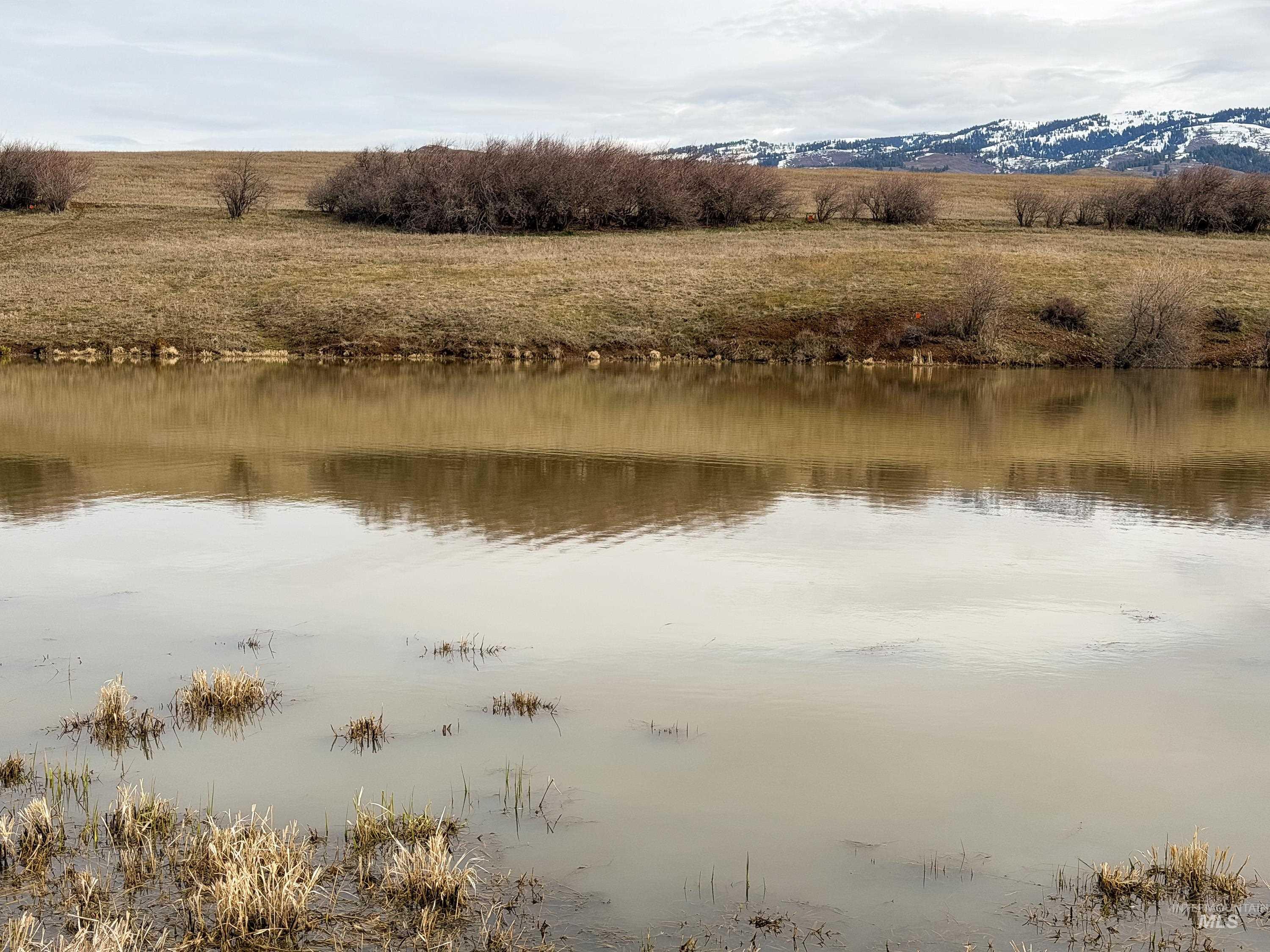 1788 HWY 95, Council, Idaho 83612, 3 Bedrooms, 2 Bathrooms, Residential For Sale, Price $1,250,000,MLS 98976508