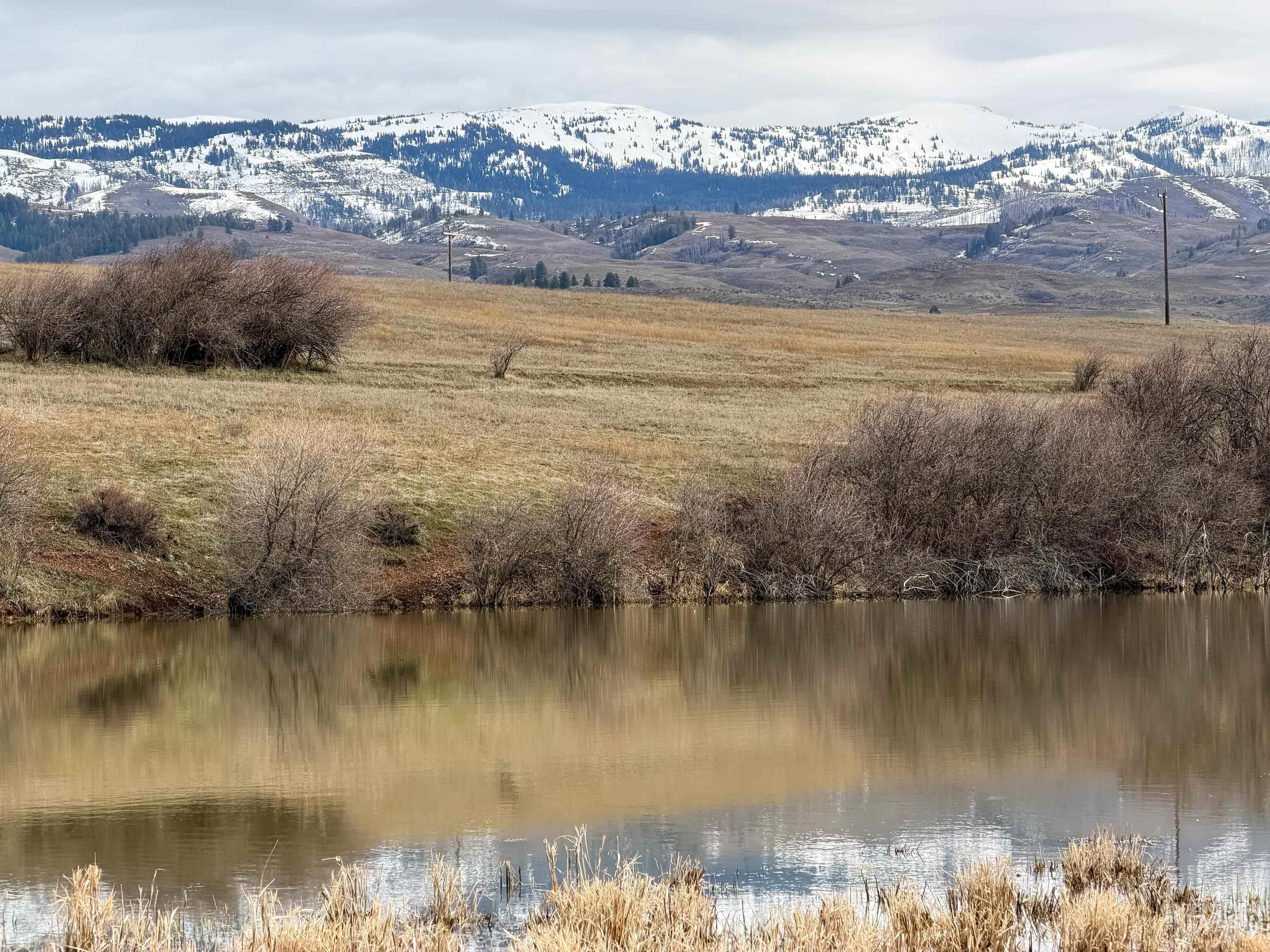 1788 HWY 95, Council, Idaho 83612, 3 Bedrooms, 2 Bathrooms, Residential For Sale, Price $1,250,000,MLS 98976508